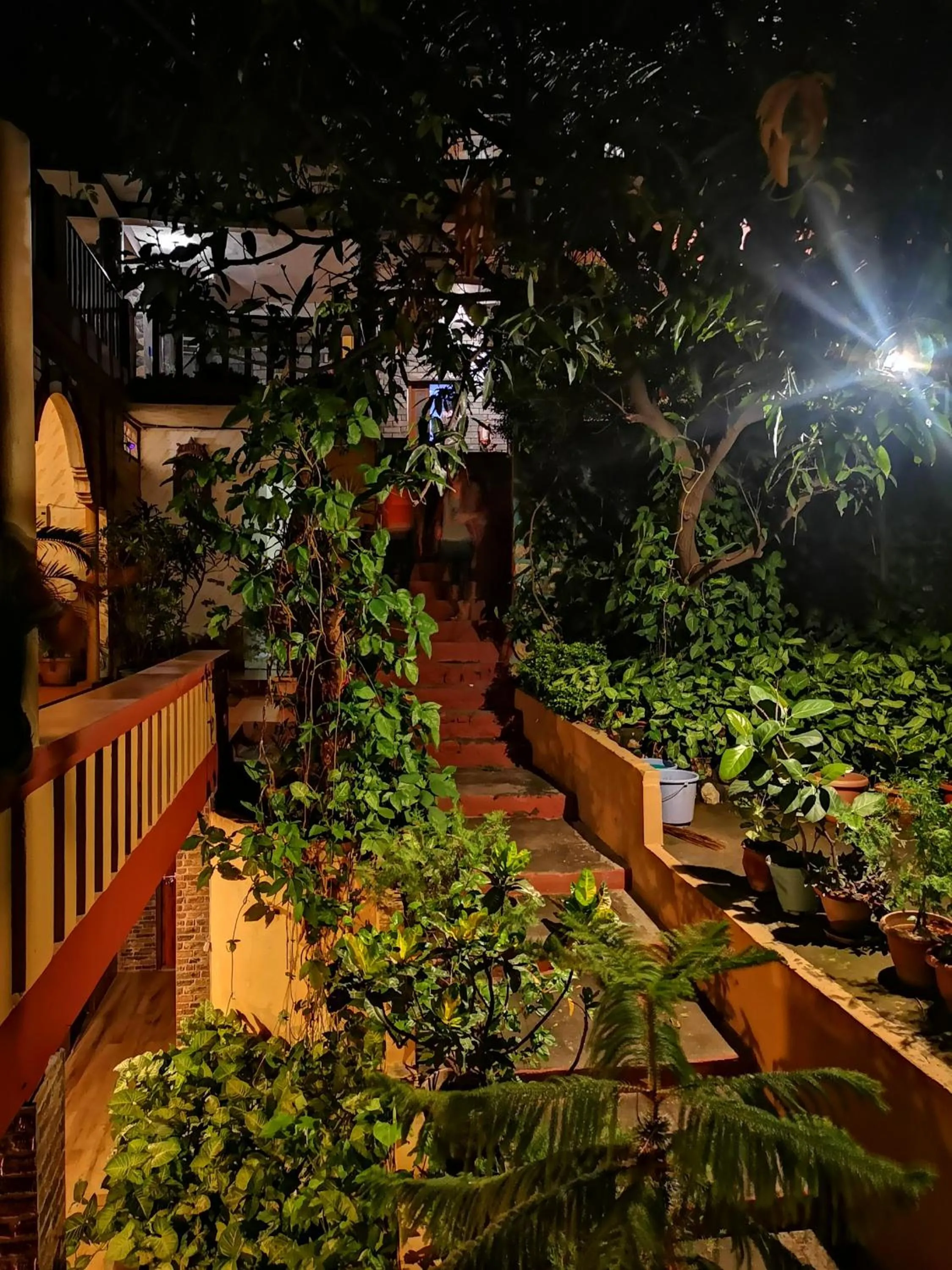 Garden view in Hill Top Swiss Cottage