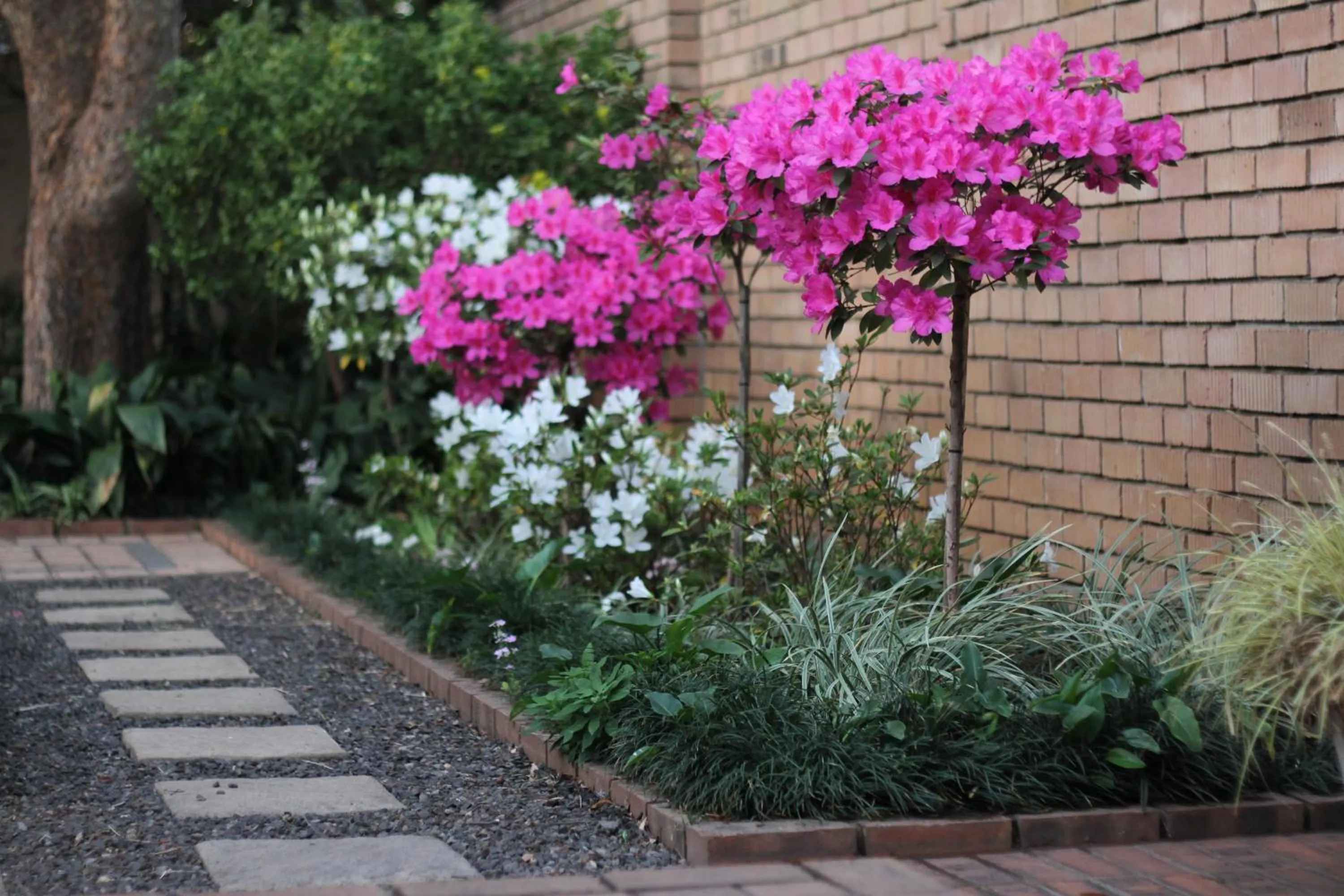 Garden in Del Roza Guest House