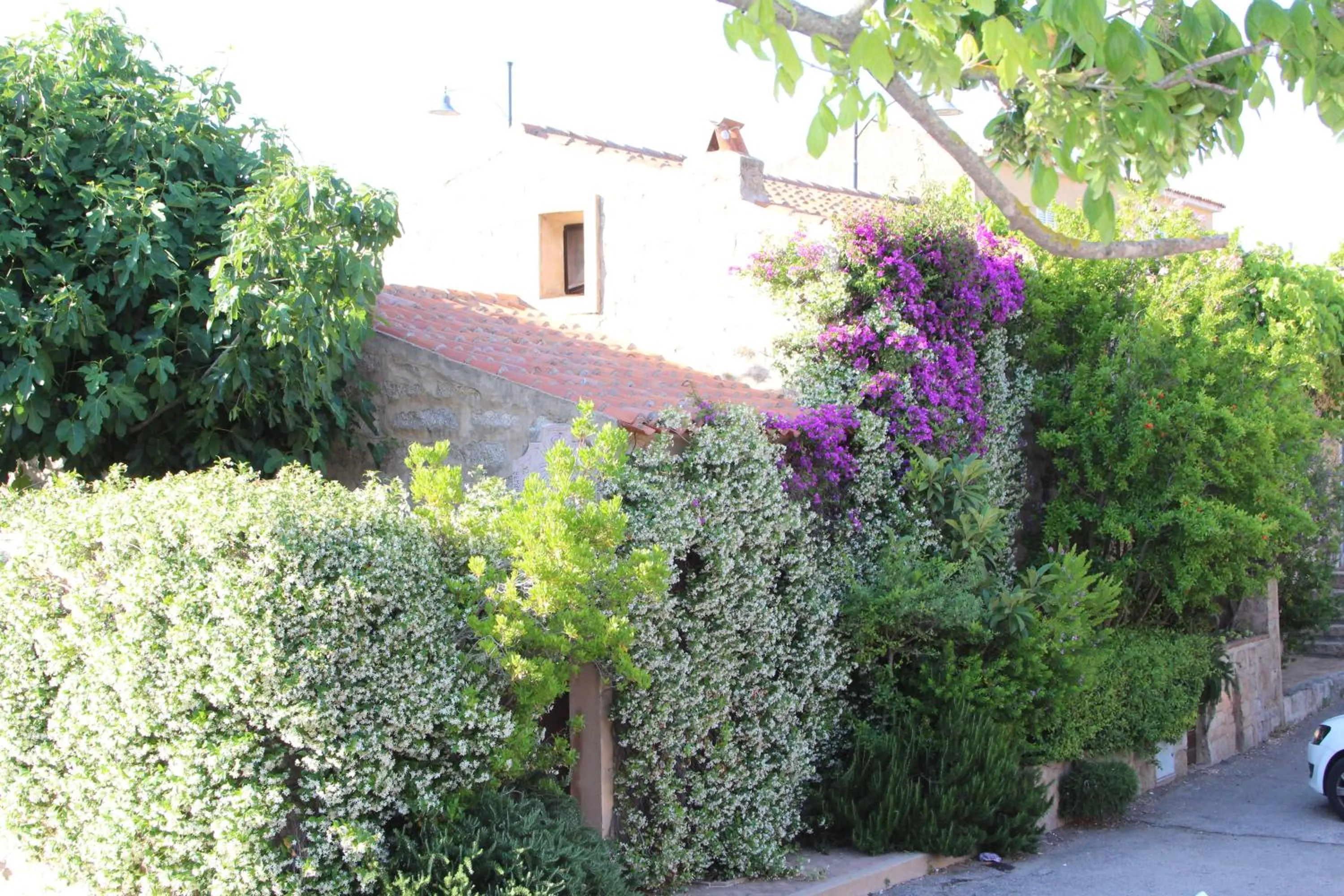 Other in La Porta Sulla Costa