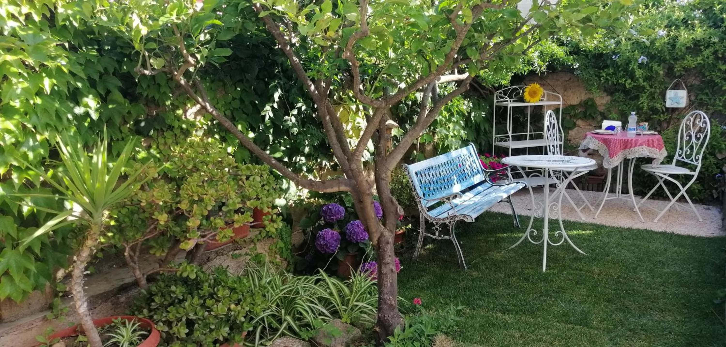 La Porta Sulla Costa