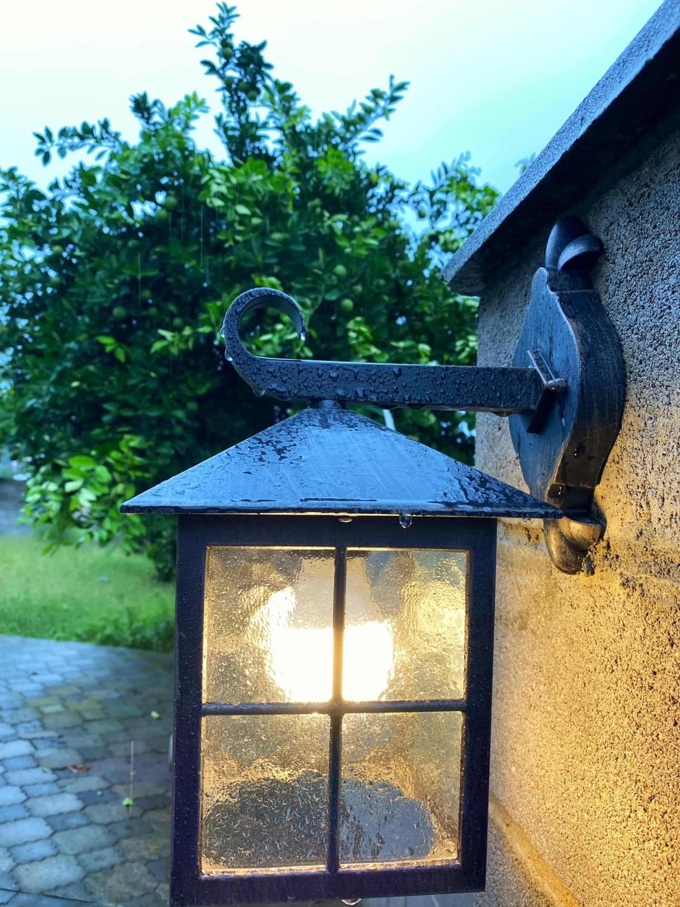 Garden in Hotel Orange Kutaisi