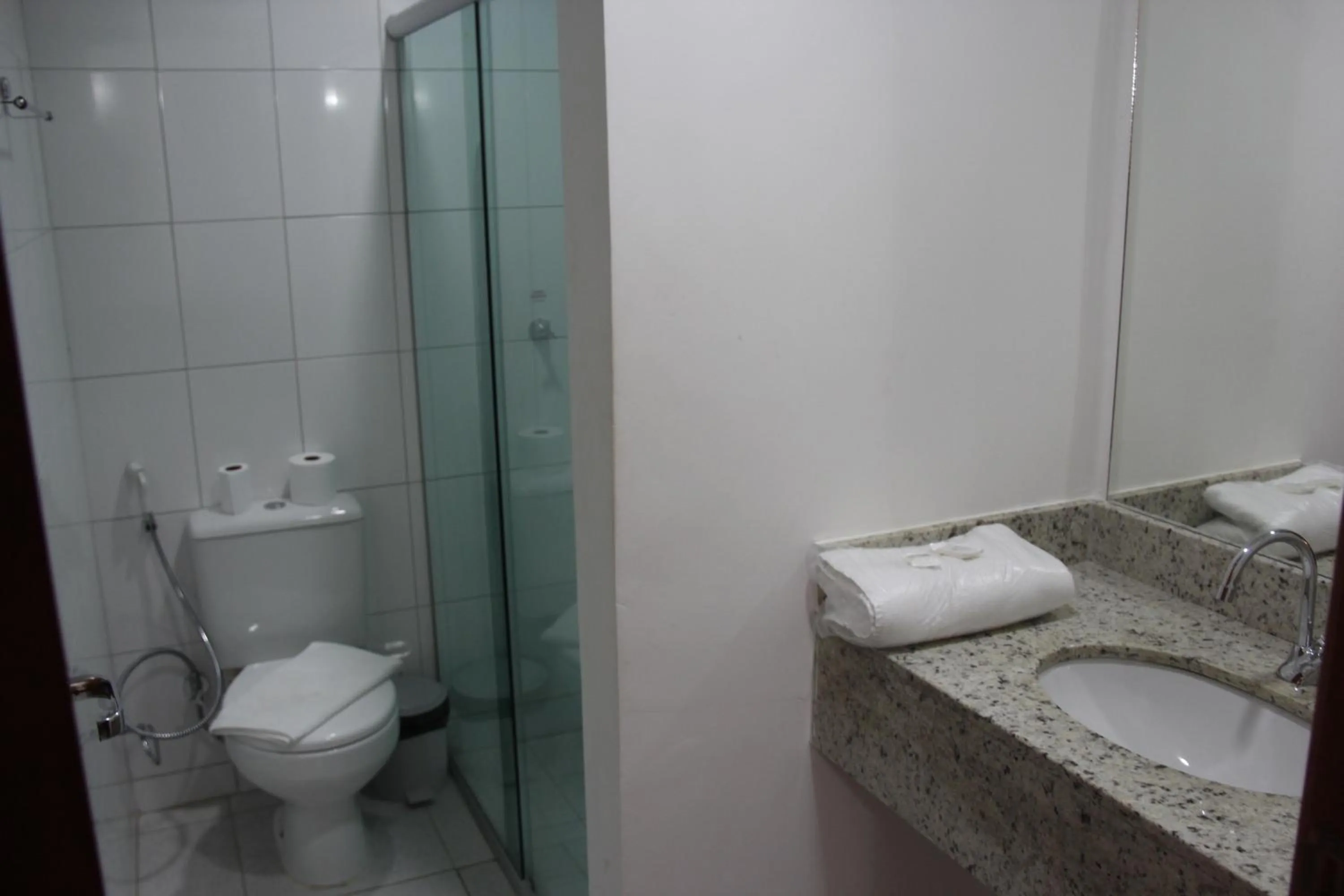 Toilet in Larison Economy