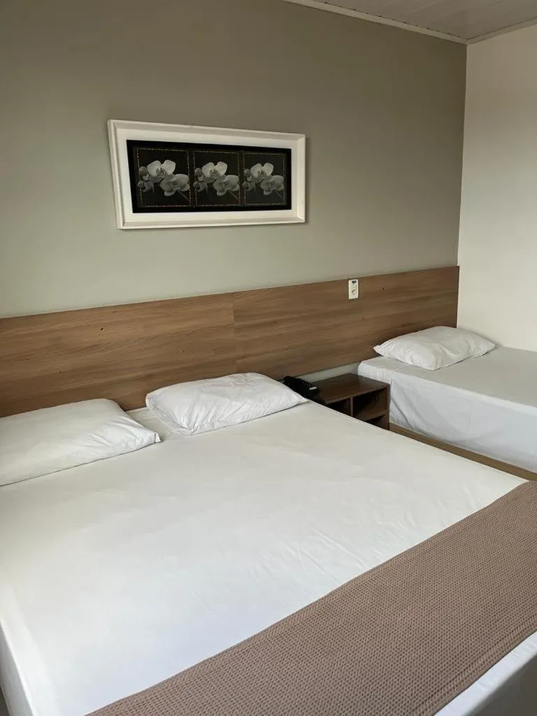 Bed in Larison Economy