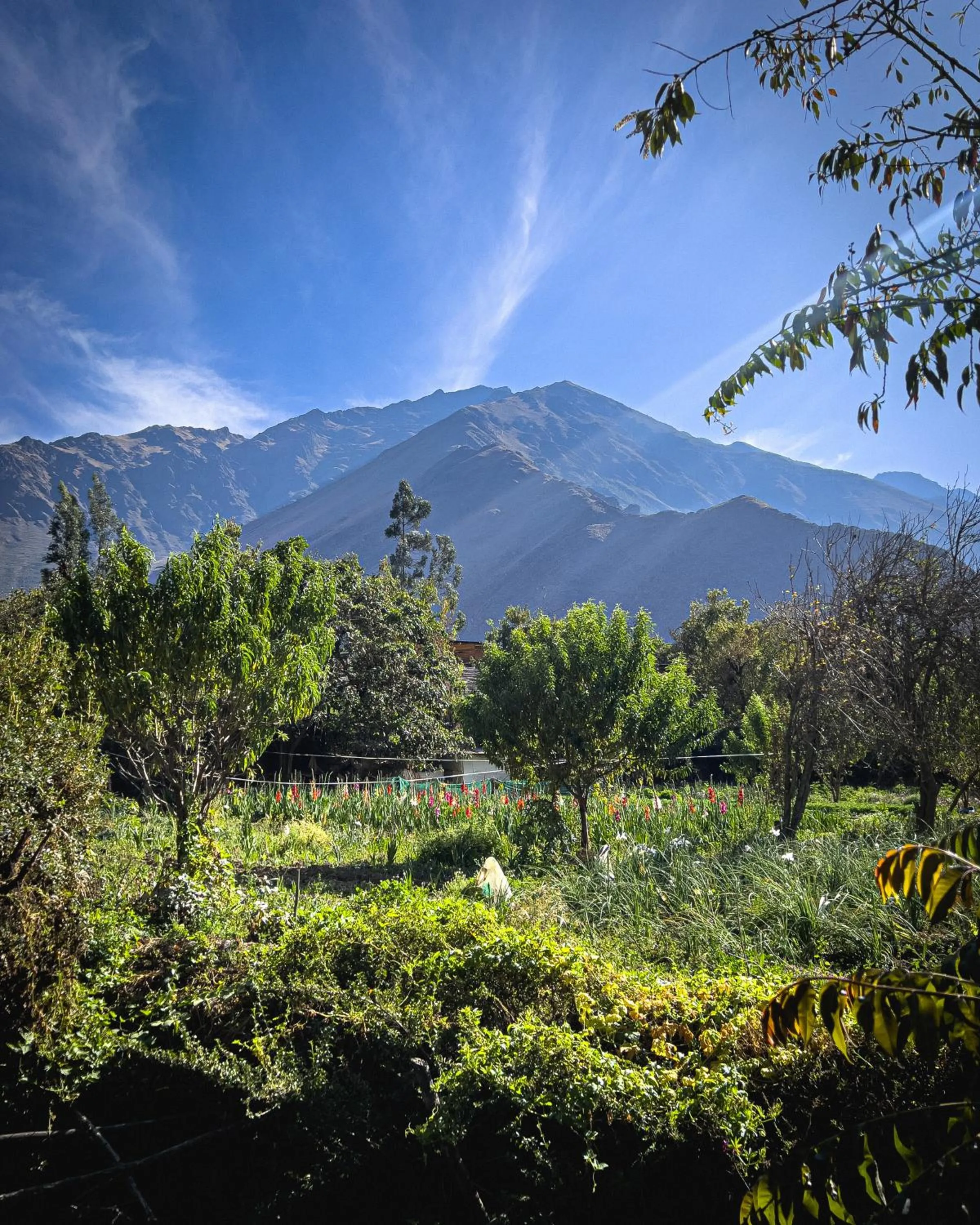 Mountain view in El Albergue Ollantaytambo