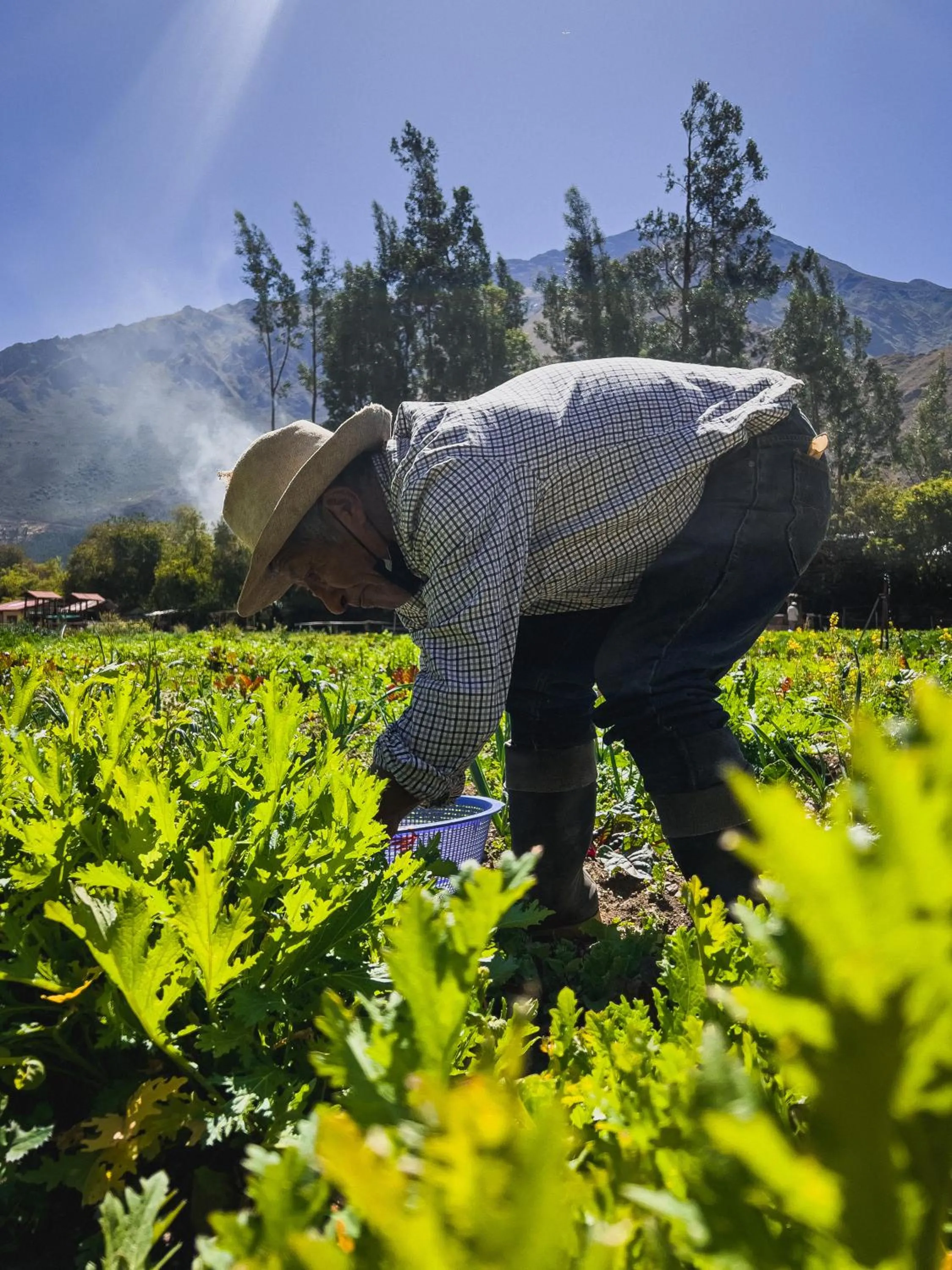 Darts in El Albergue Ollantaytambo