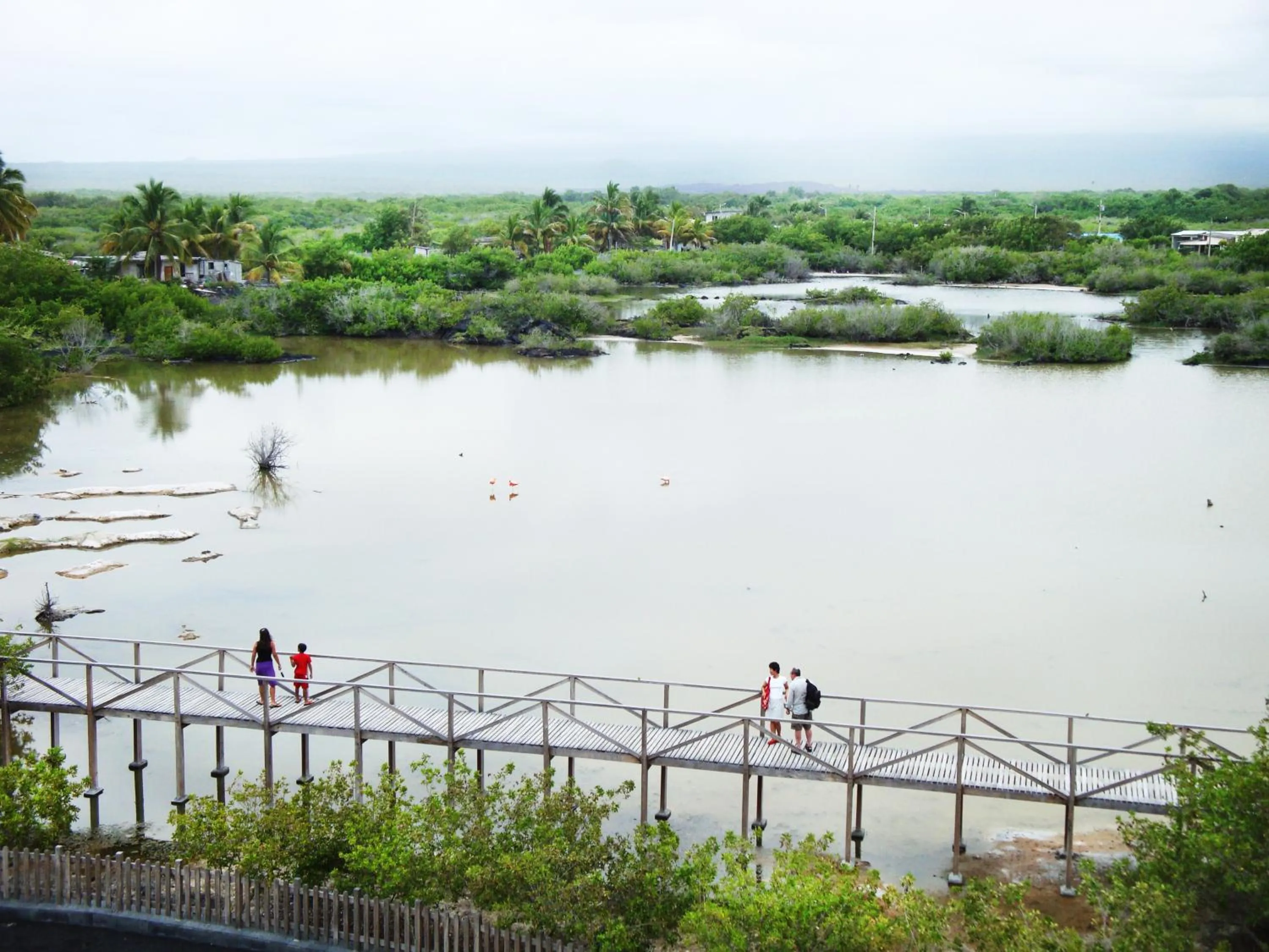 Area and facilities in Hotel La Laguna Galapagos