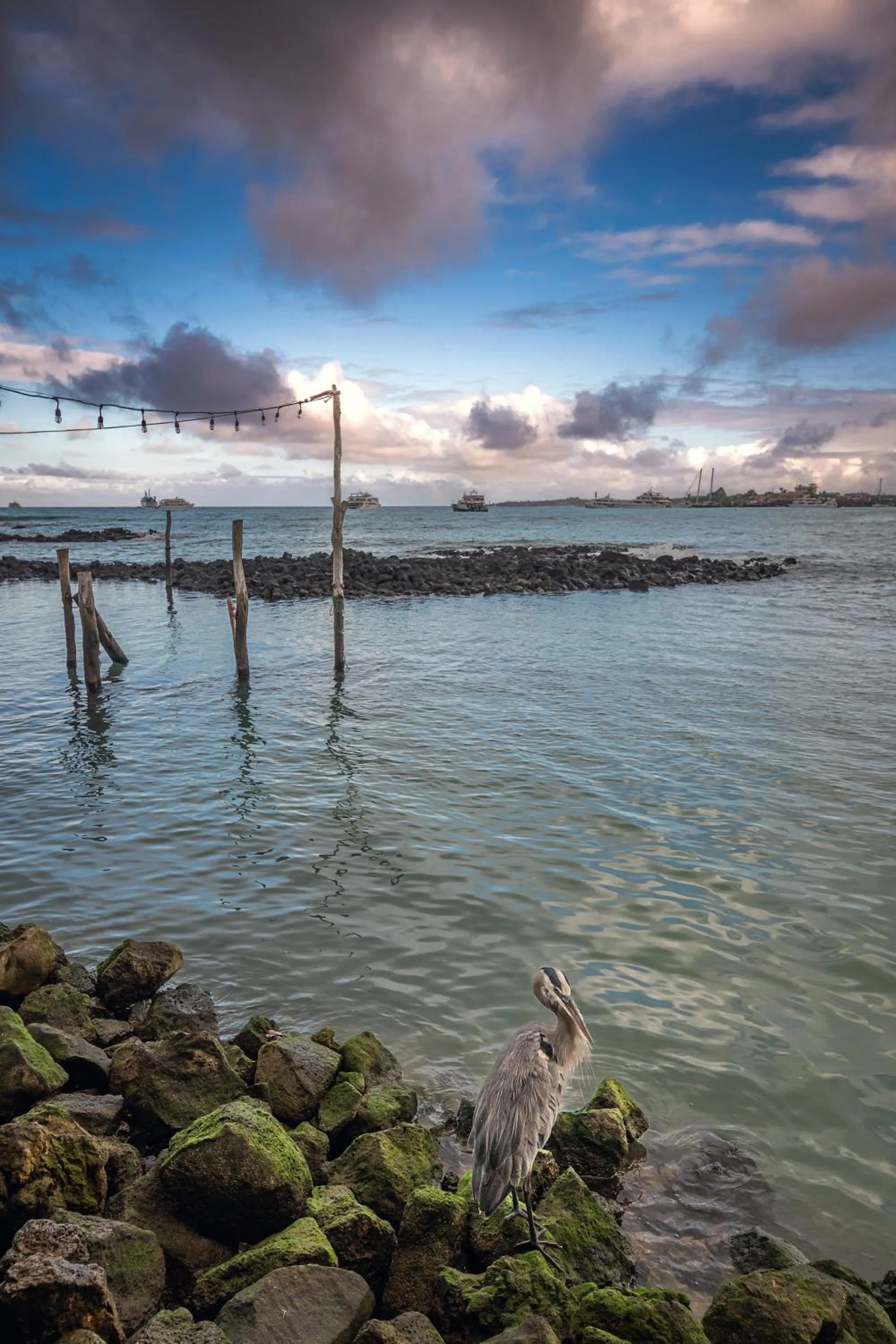 Sea view in Blu Galapagos Sustainable Waterfront Lodge