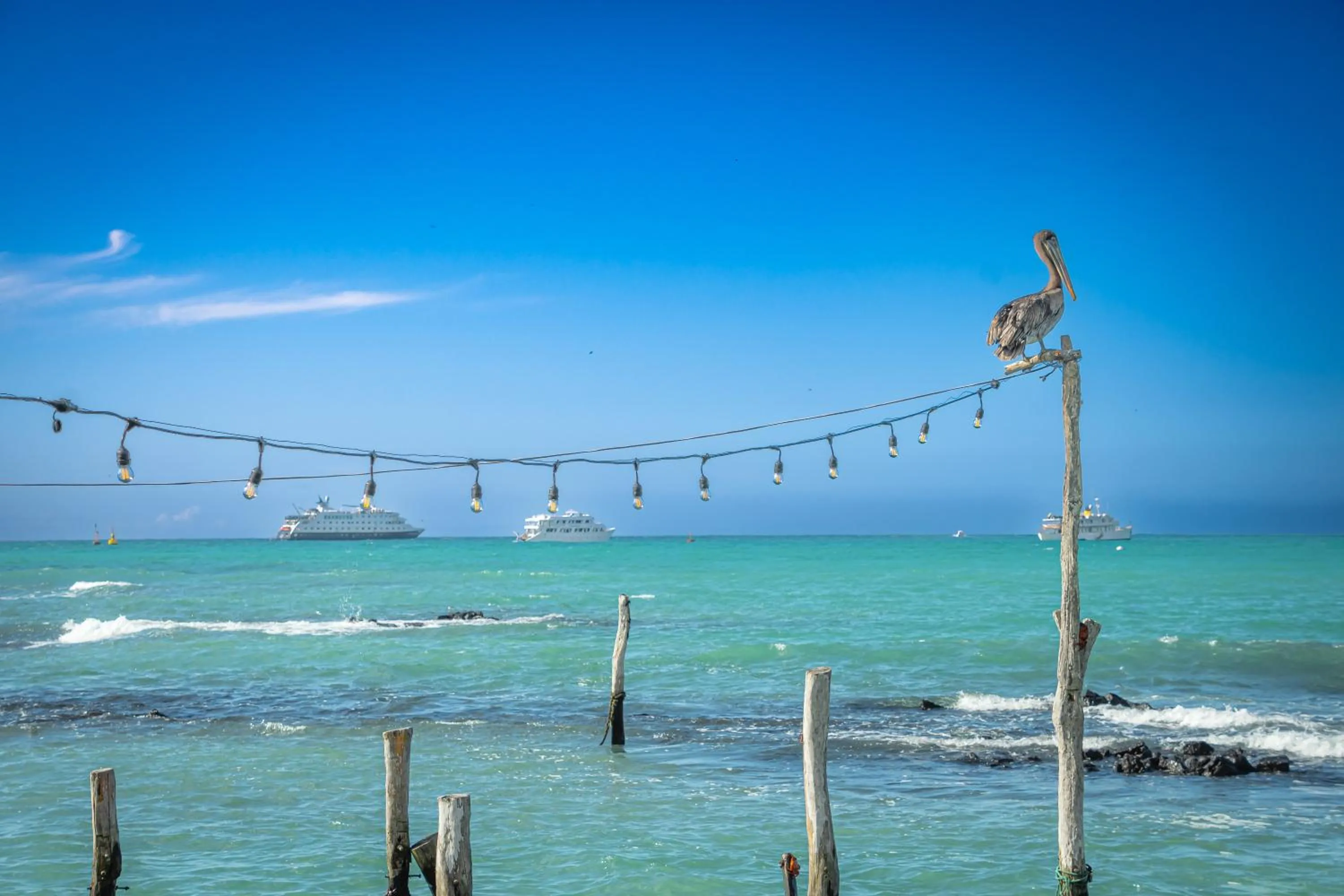 Day in Blu Galapagos Sustainable Waterfront Lodge