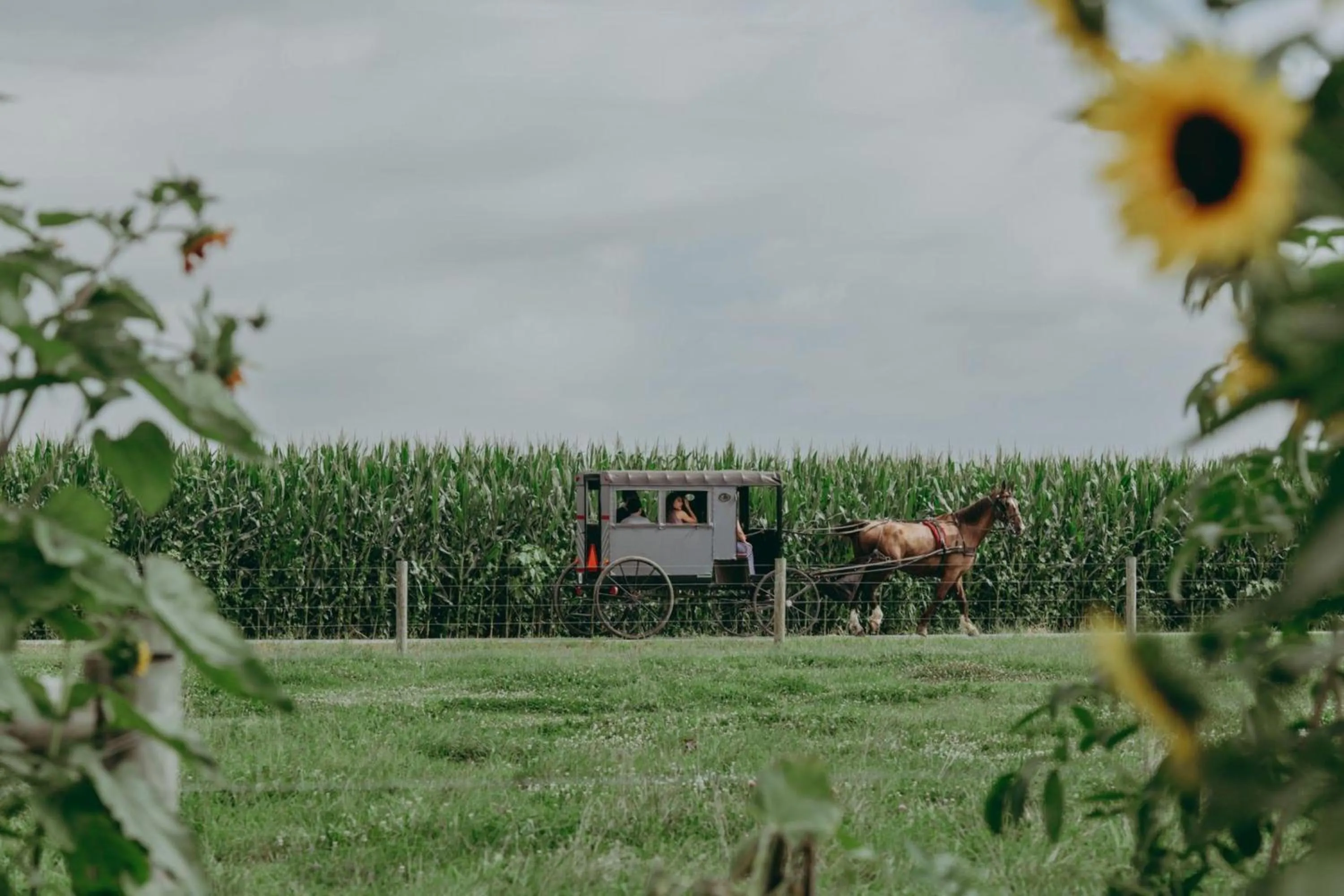 Natural landscape in Eden Resort and Suites, BW Premier Collection
