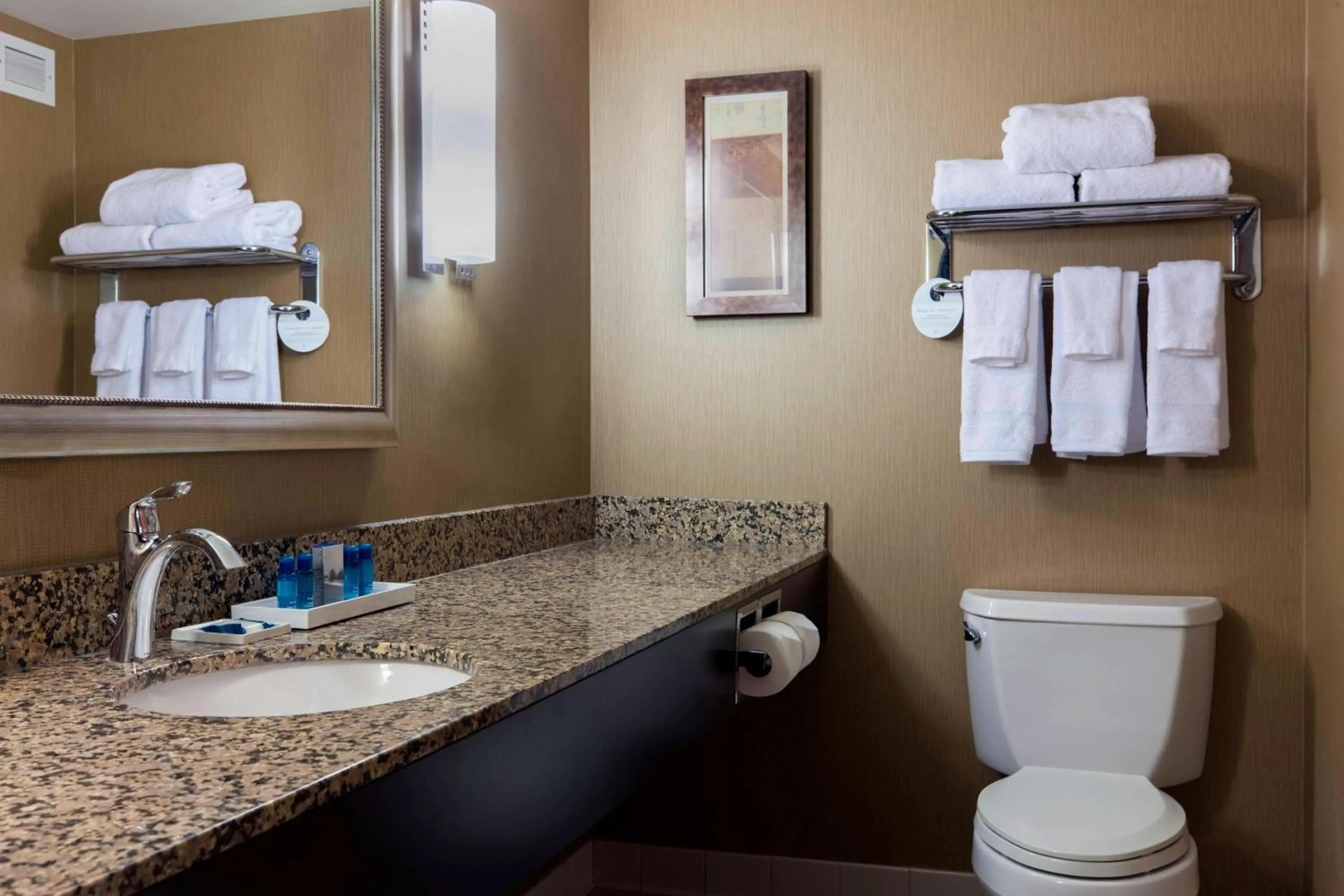 Bathroom in Delta Hotels by Marriott Fargo
