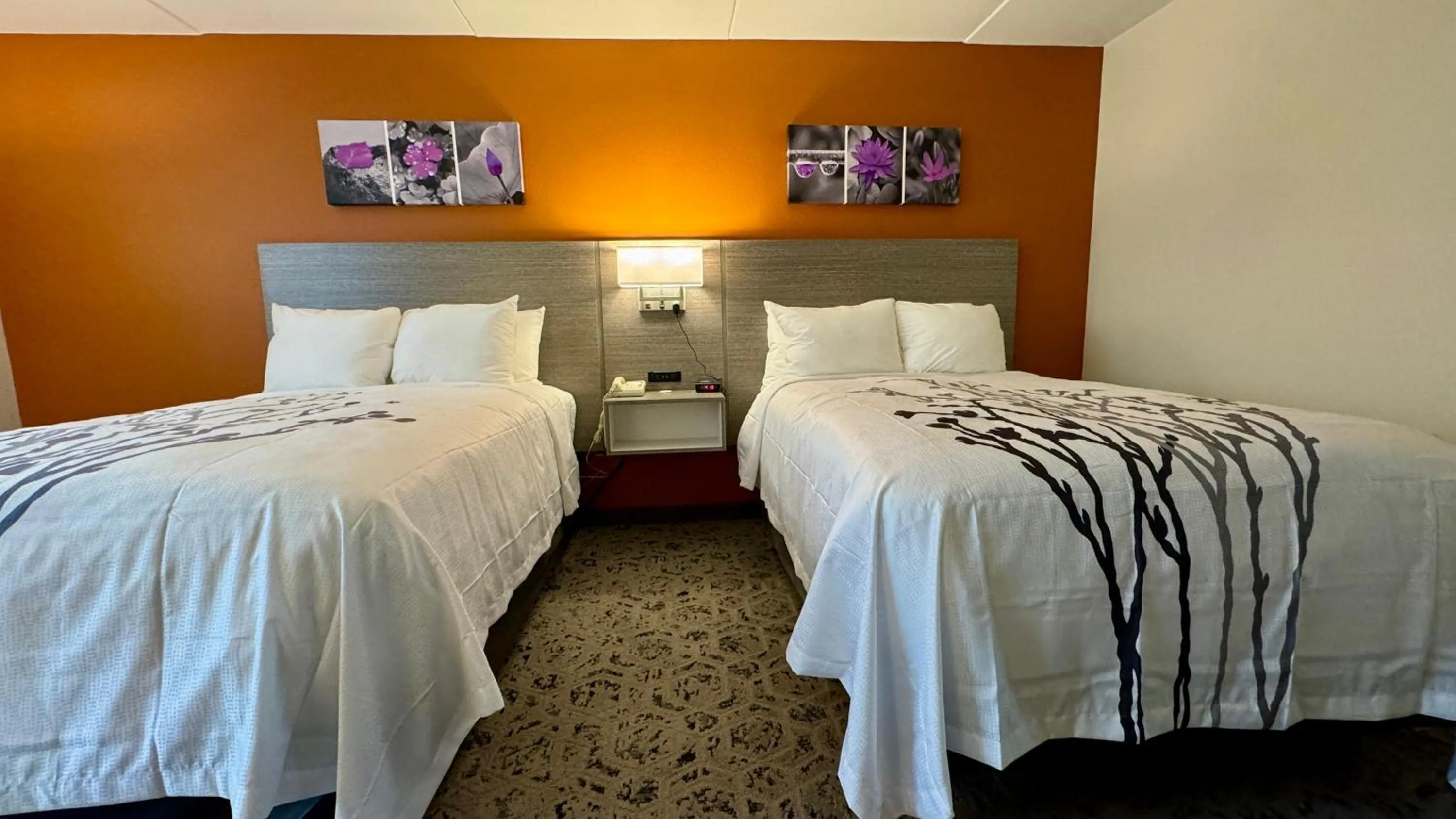 Bed in Sleep Inn Chambersburg