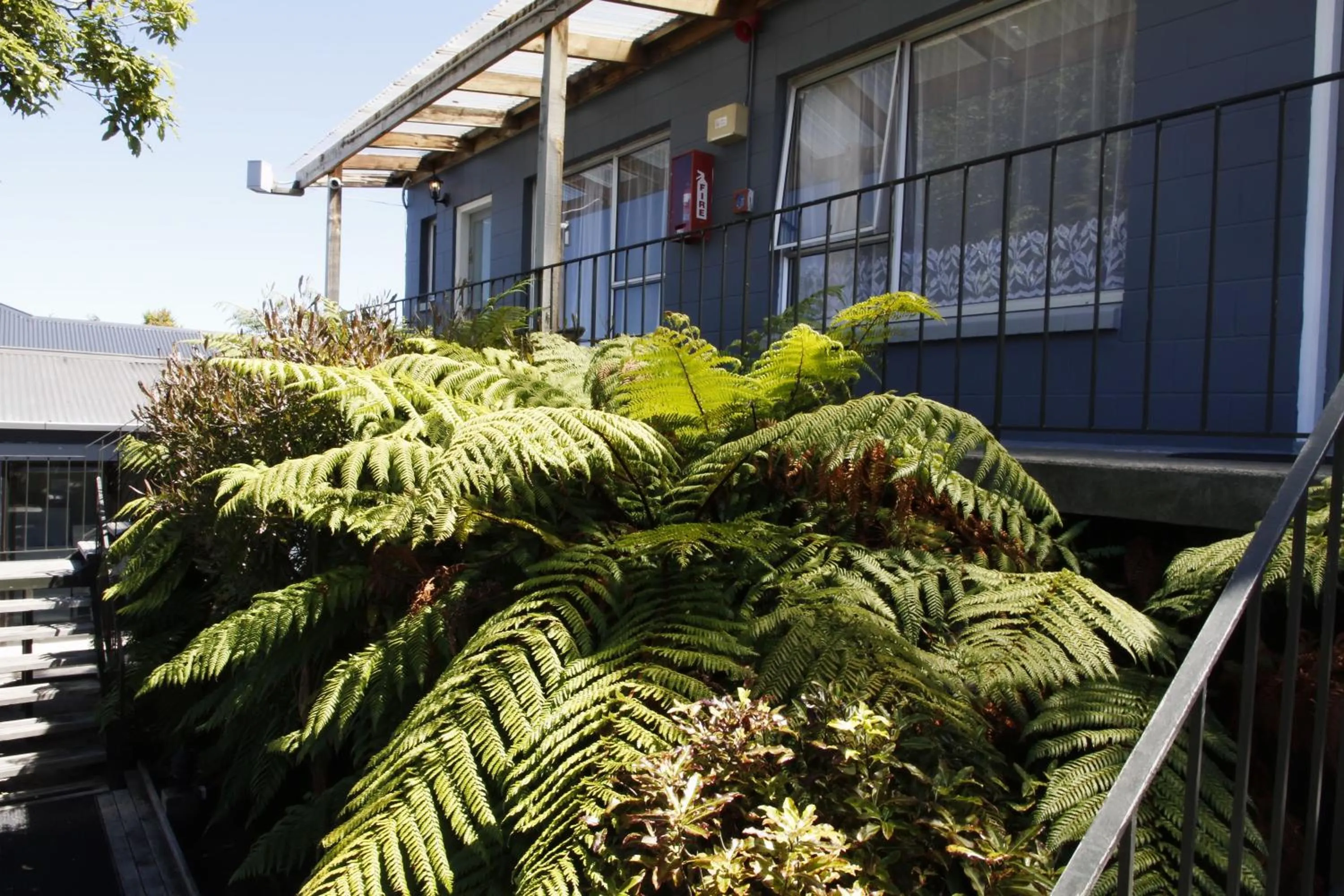 Pets in Cranford Cottages and Motel