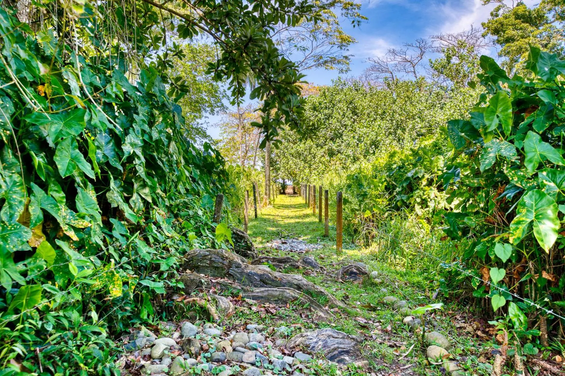 Beach in Villas Piña - Adults only