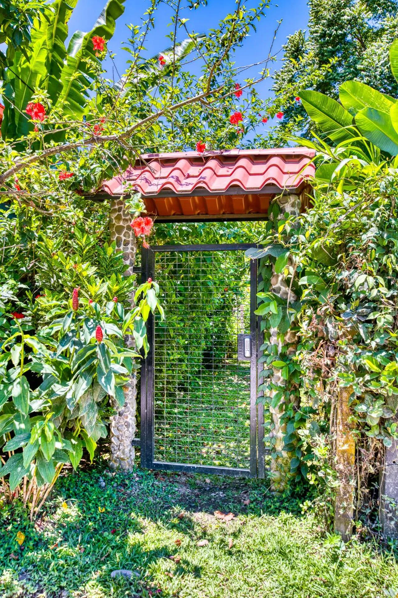 Beach in Villas Piña - Adults only