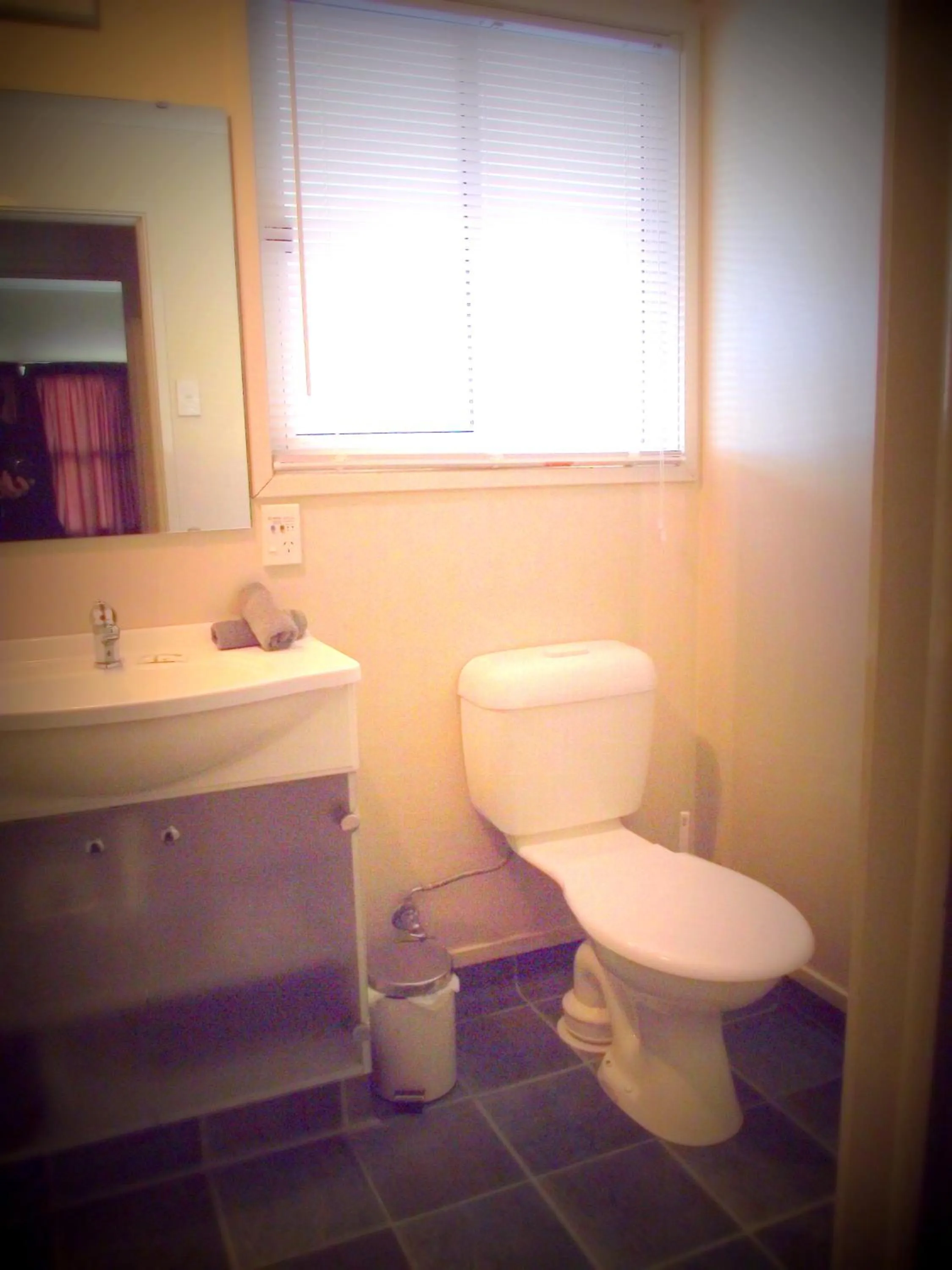 Toilet in Panorama Motor Inn