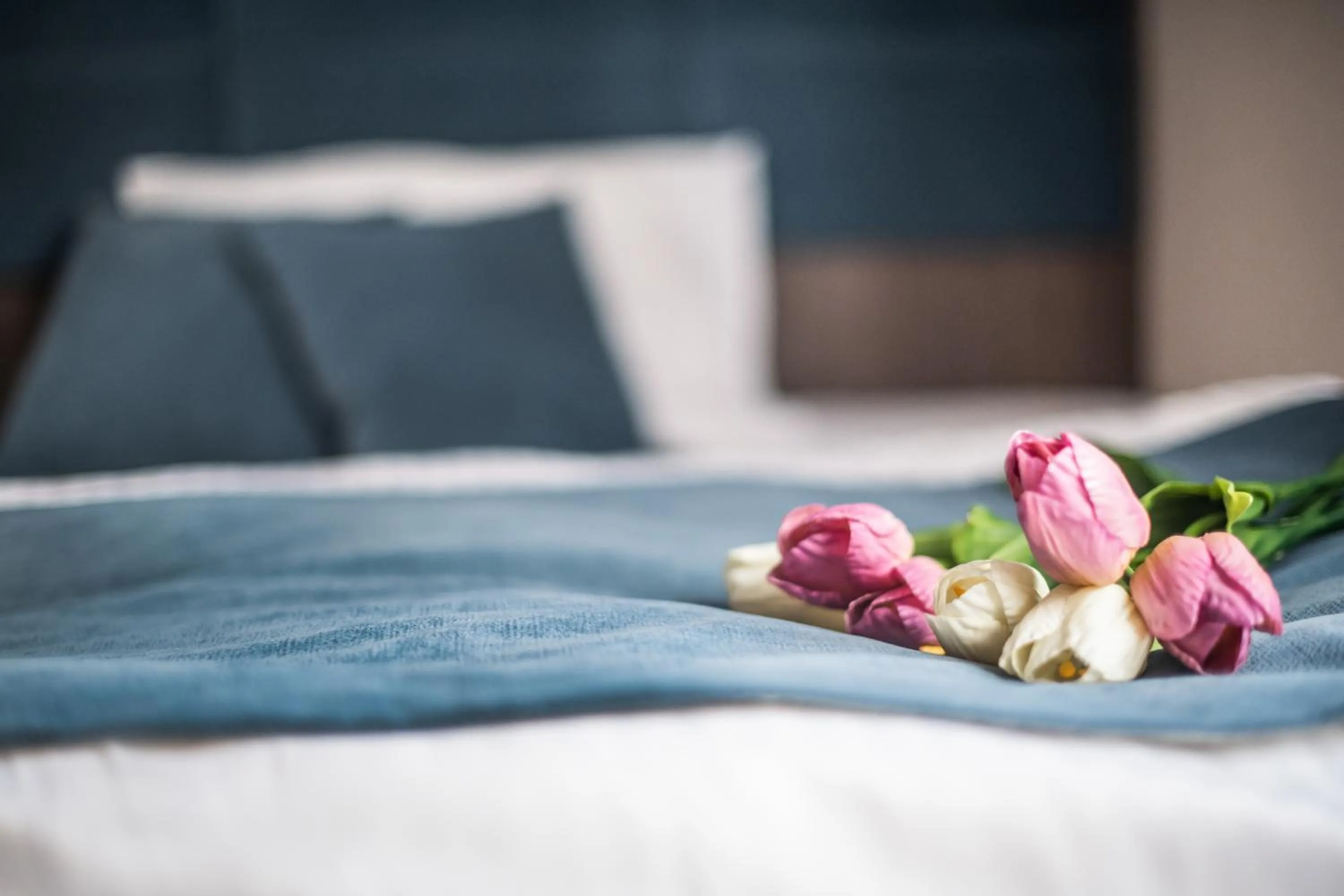 Bed in Hotel Sleep Wrocław