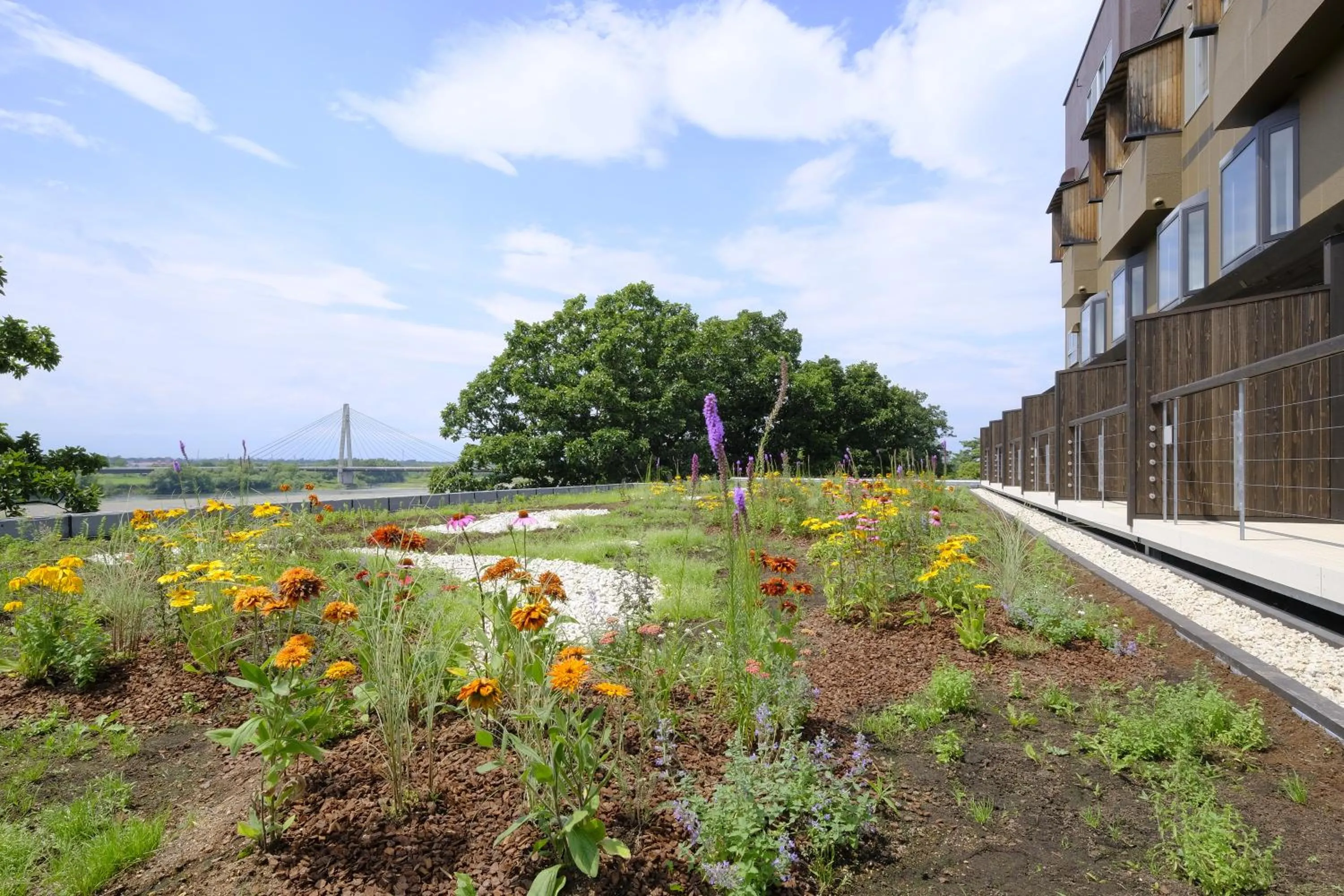 View (from property/room) in Kangetsuen