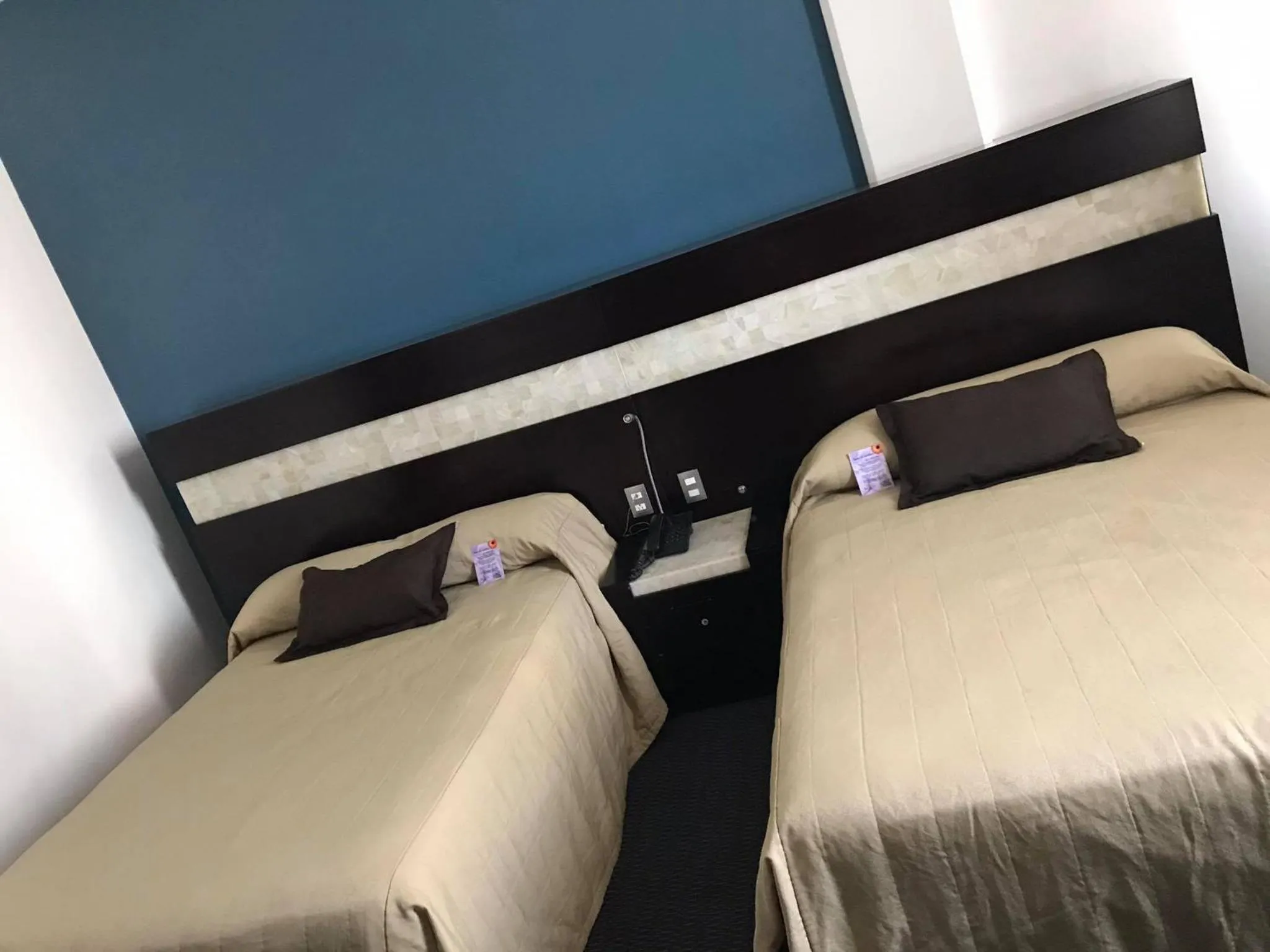 Bed in Hotel Real Rex