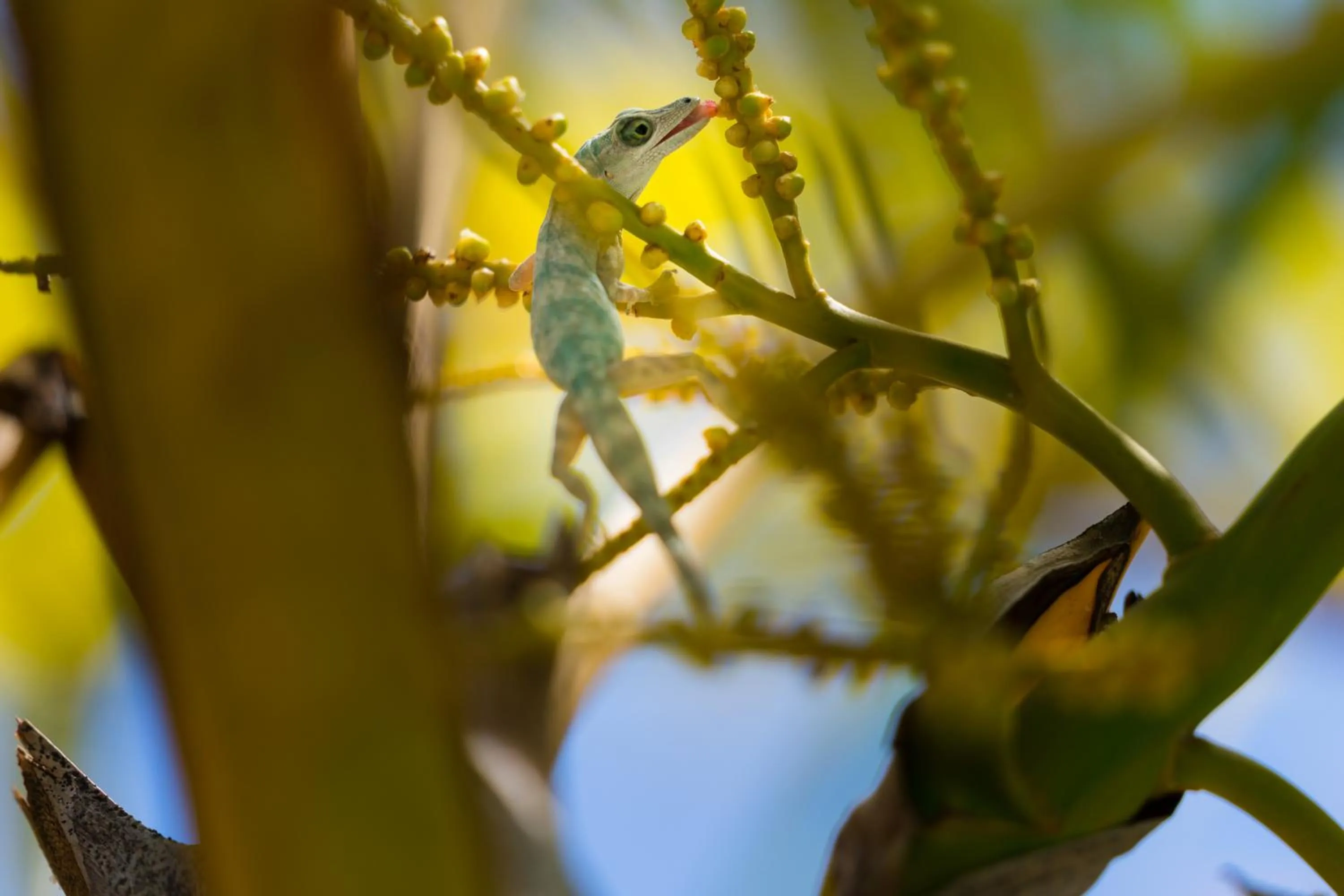 Garden in Reef View Pavilions - Villas & Condos