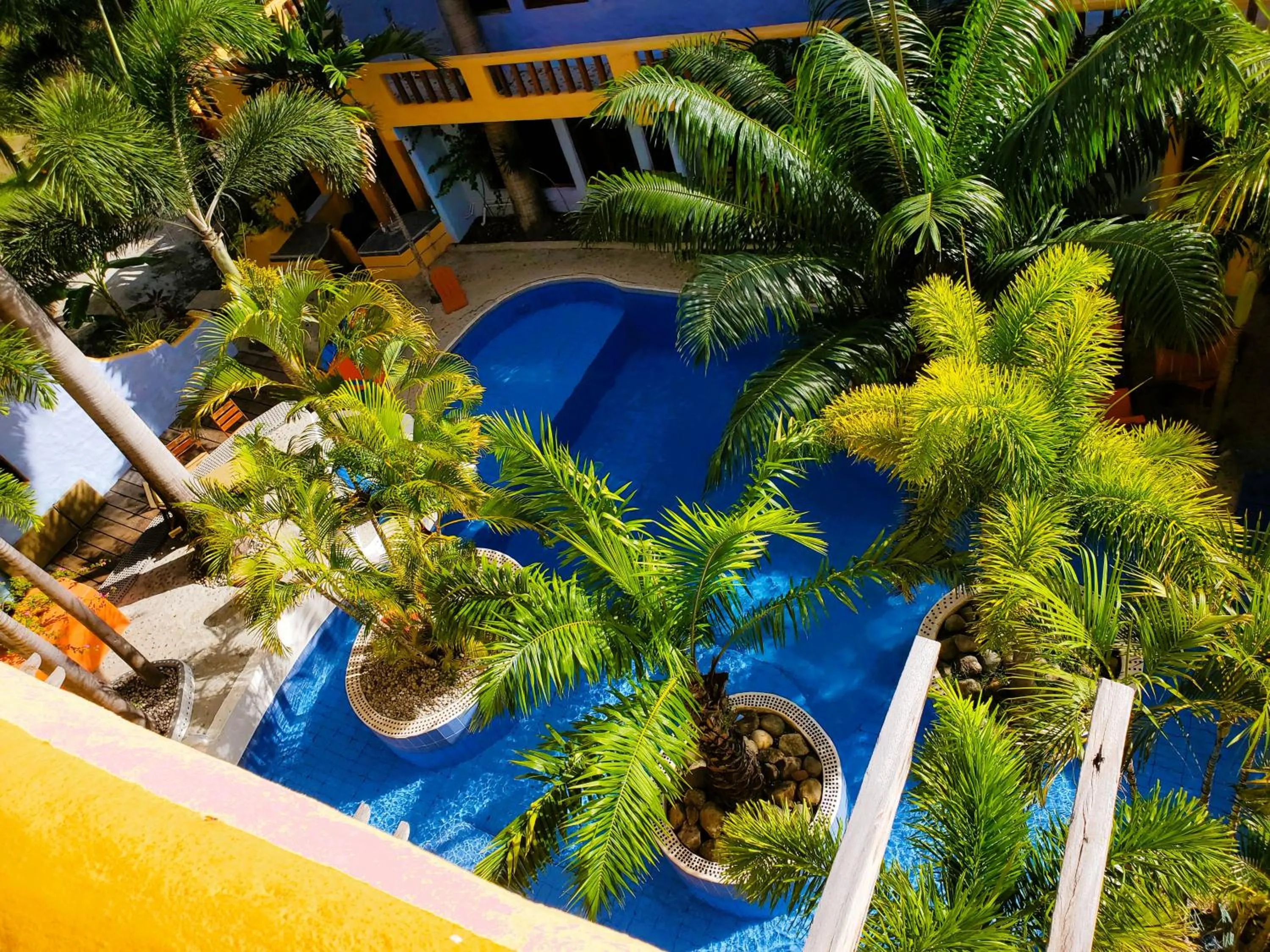 Spring in Reef View Pavilions - Villas & Condos