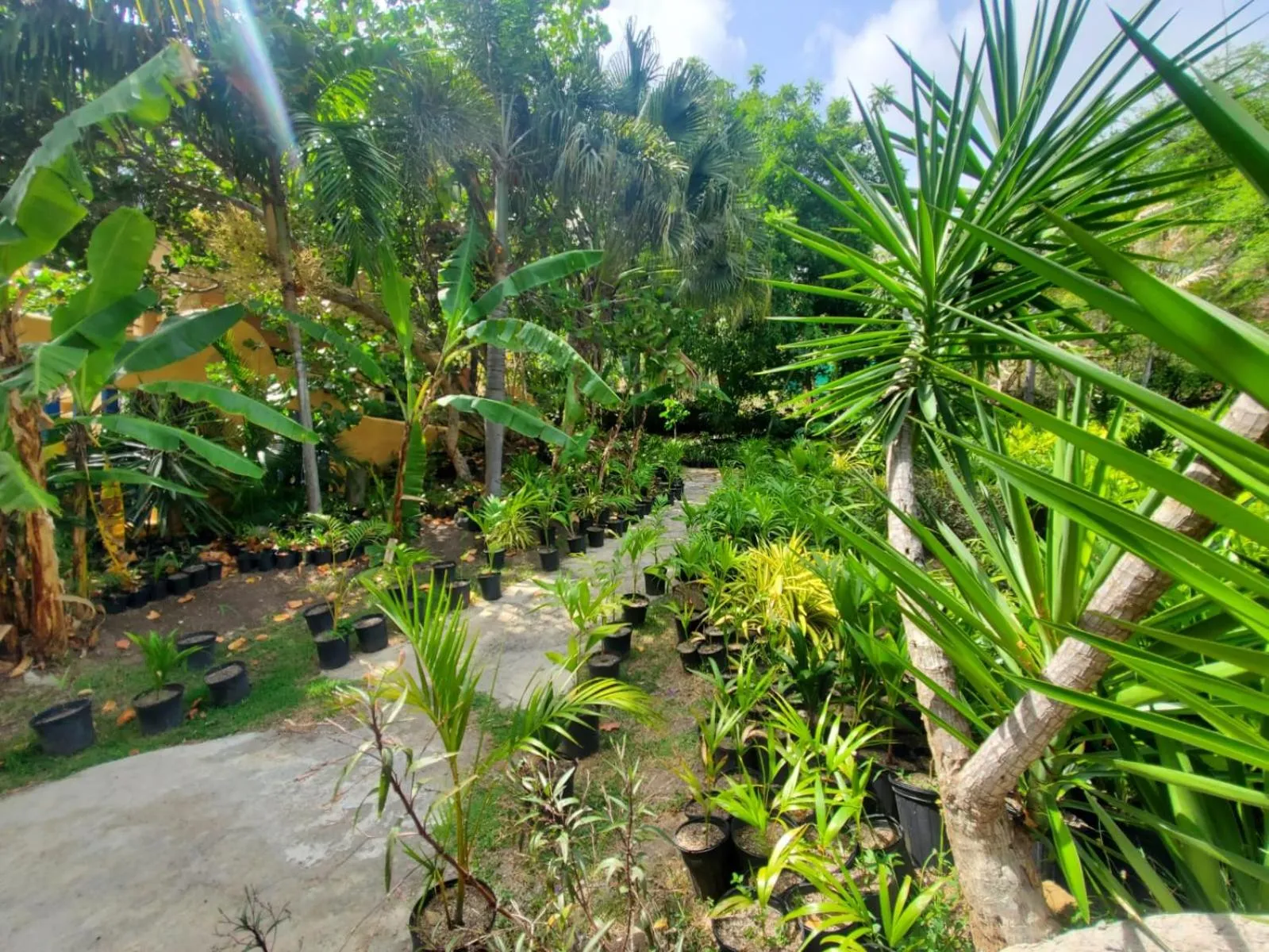 Garden in Reef View Pavilions - Villas & Condos