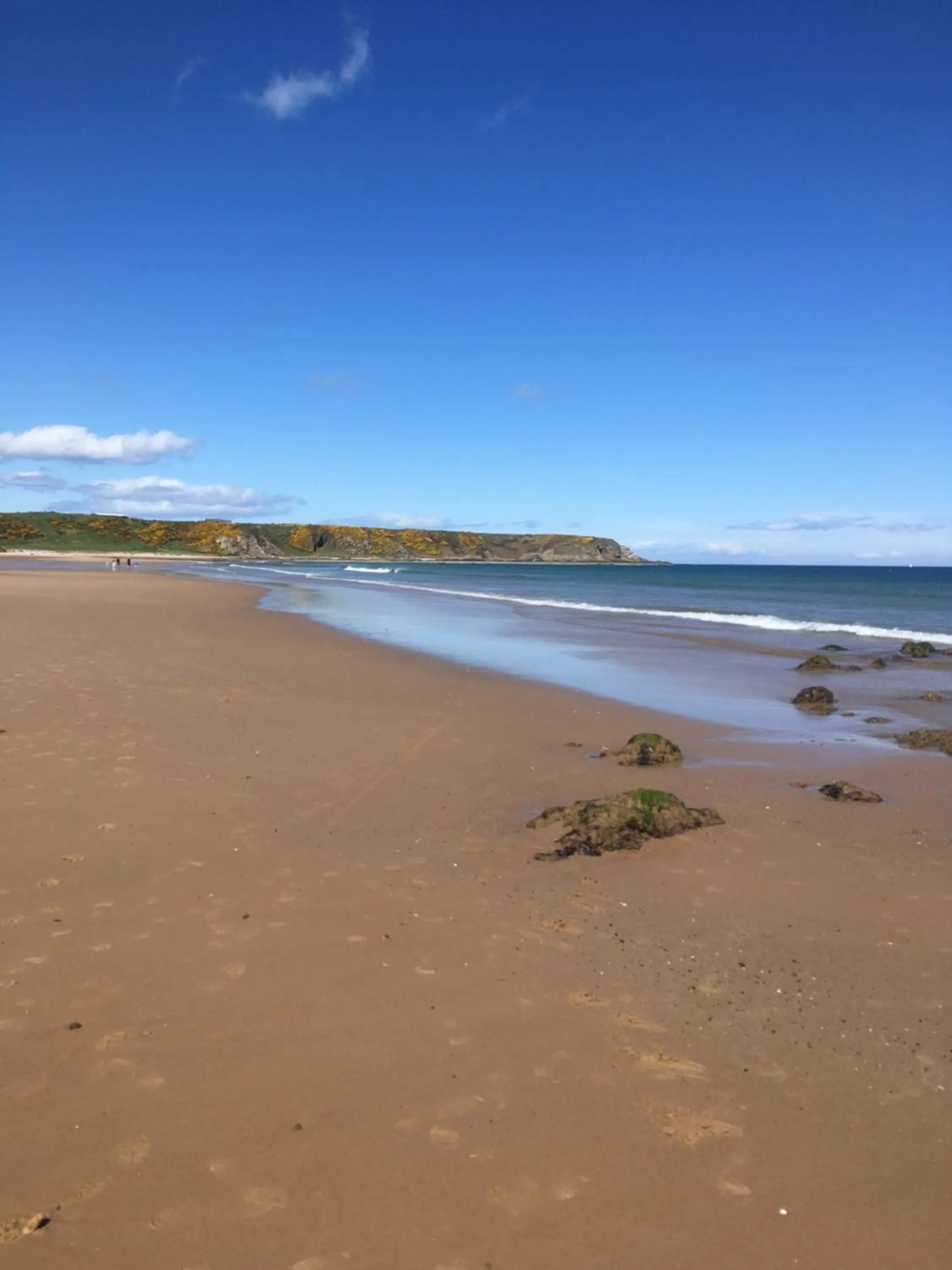 Beach in The Royal Oak Hotel