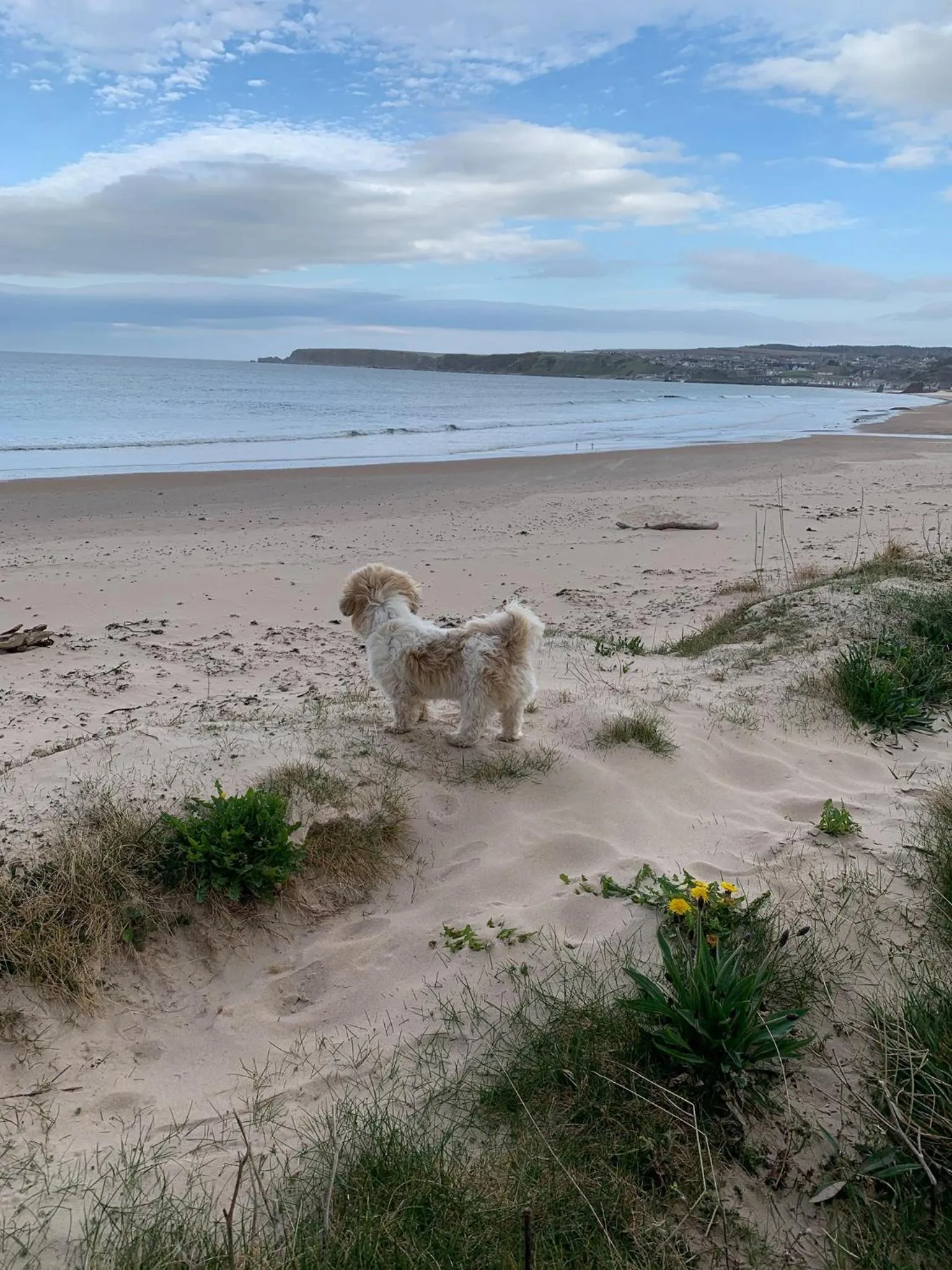 Beach in The Royal Oak Hotel