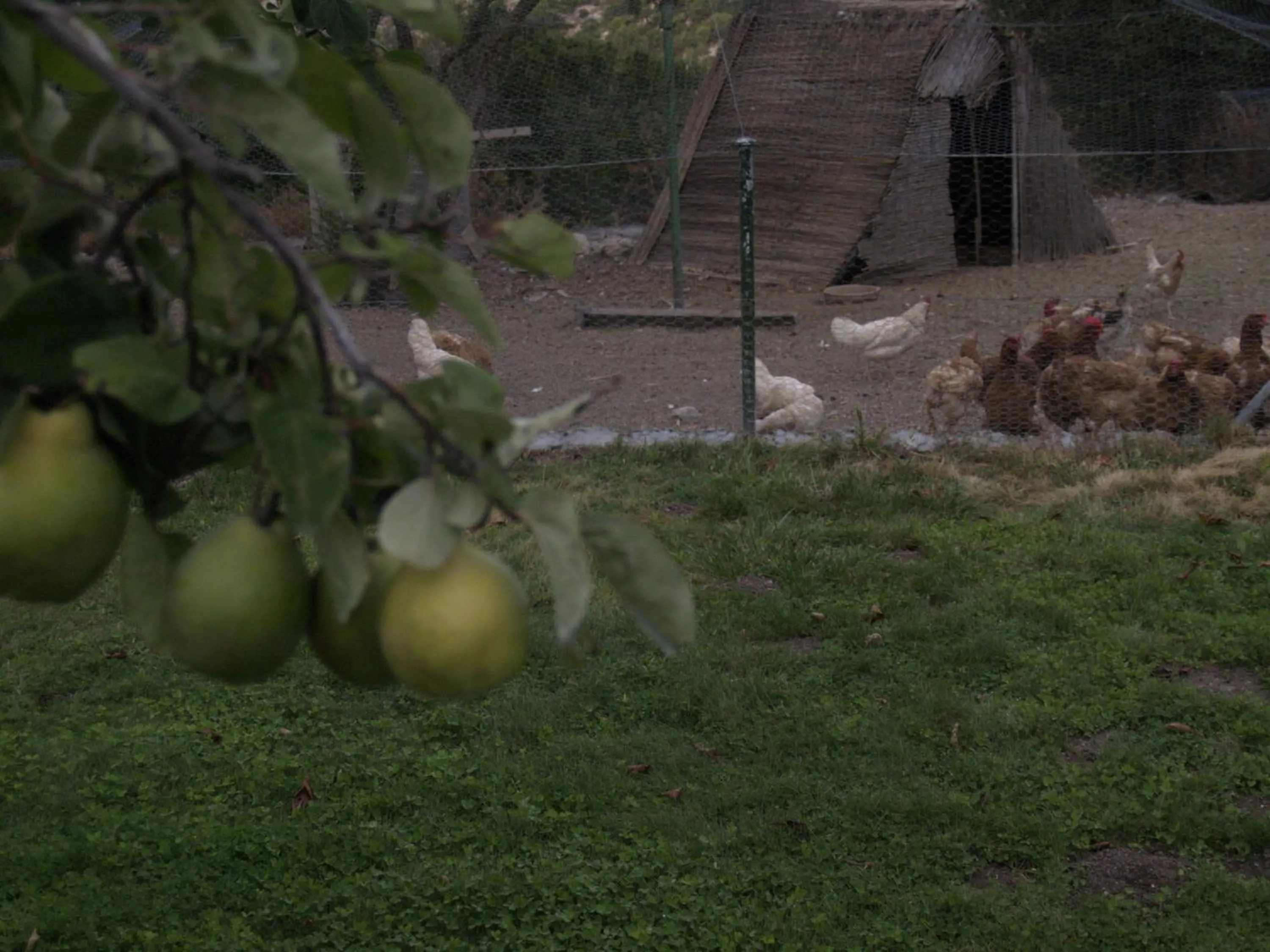 Garden in Hotel Rural & Spa Las Nubes