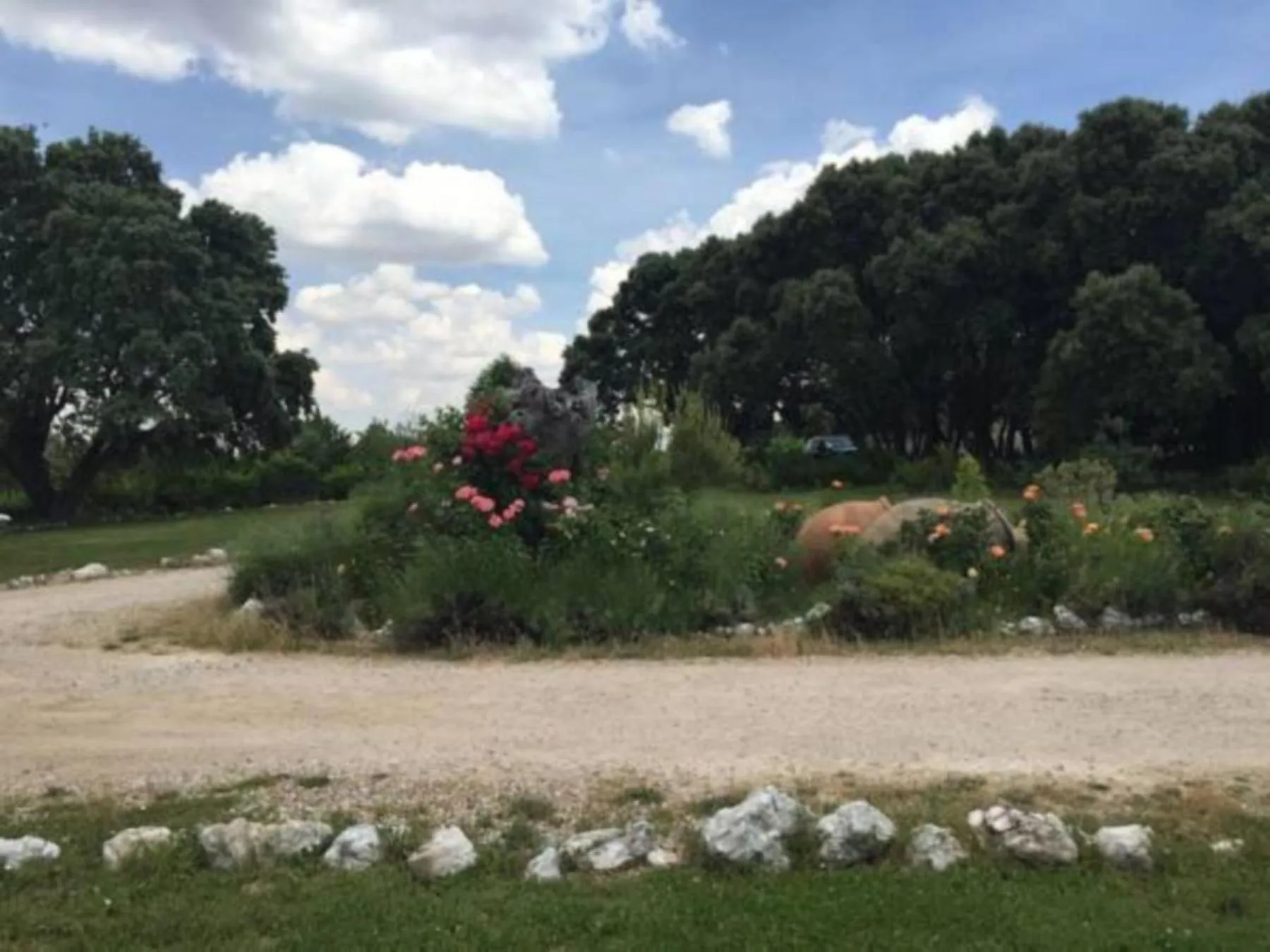 Area and facilities in Hotel Rural & Spa Las Nubes