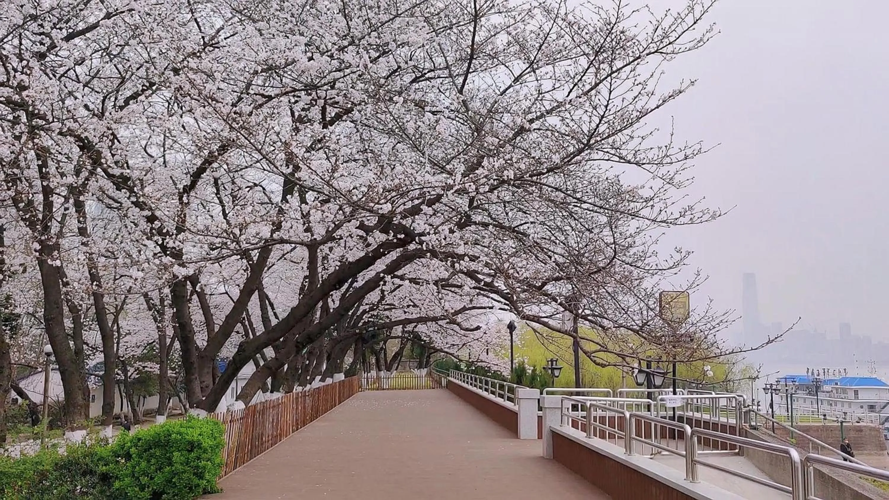 Other in Holiday Inn Wuhan Riverside by IHG