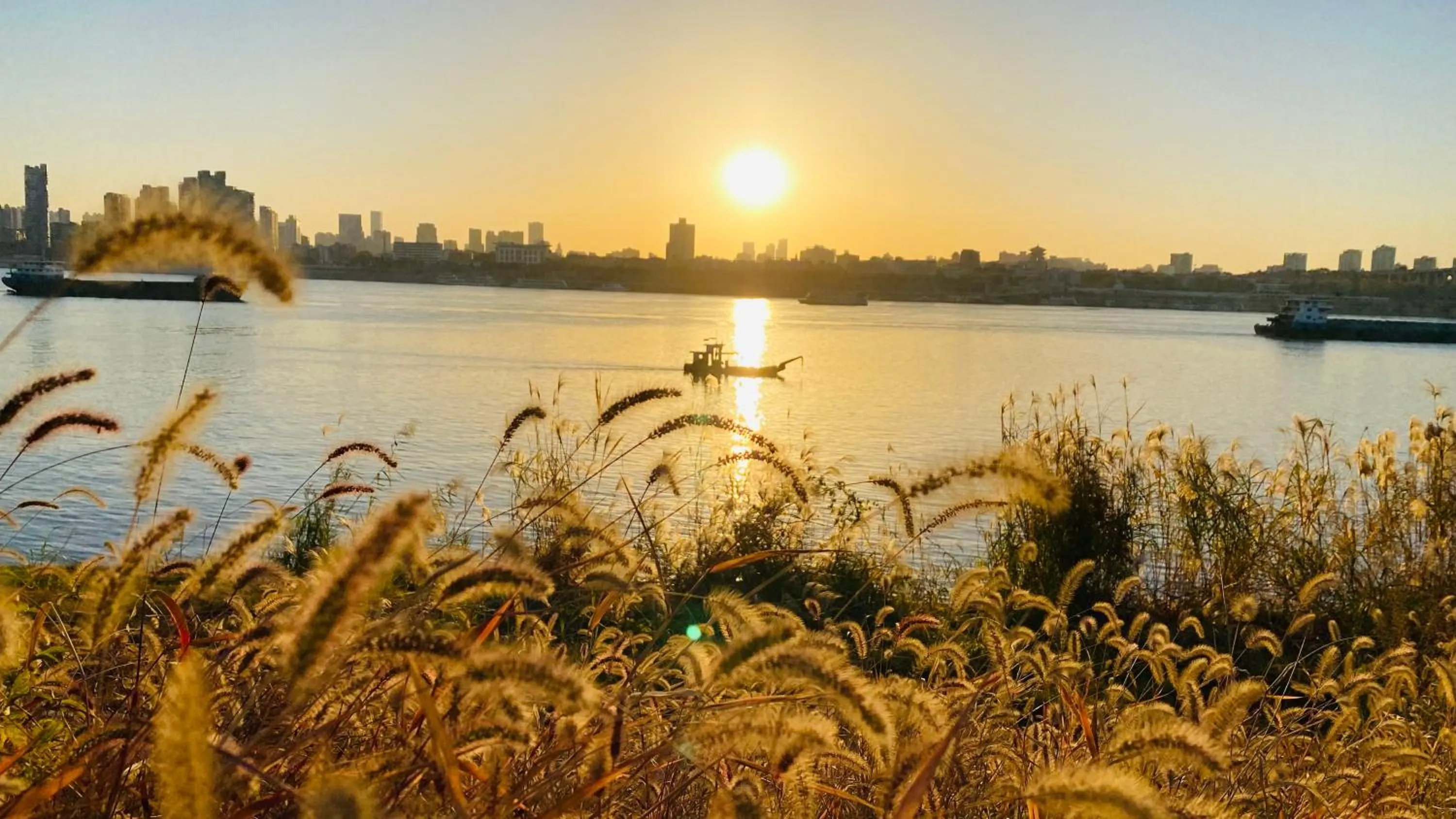 Natural landscape in Holiday Inn Wuhan Riverside by IHG