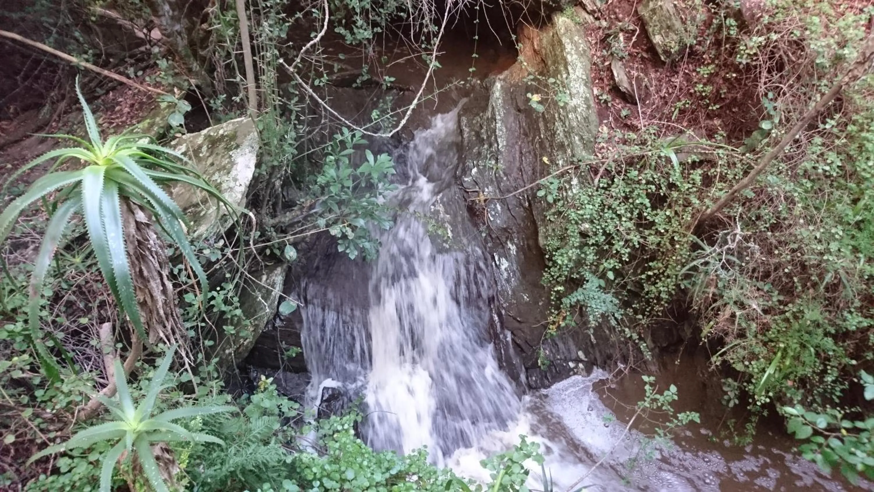 Activities in Dolphin View Guesthouse