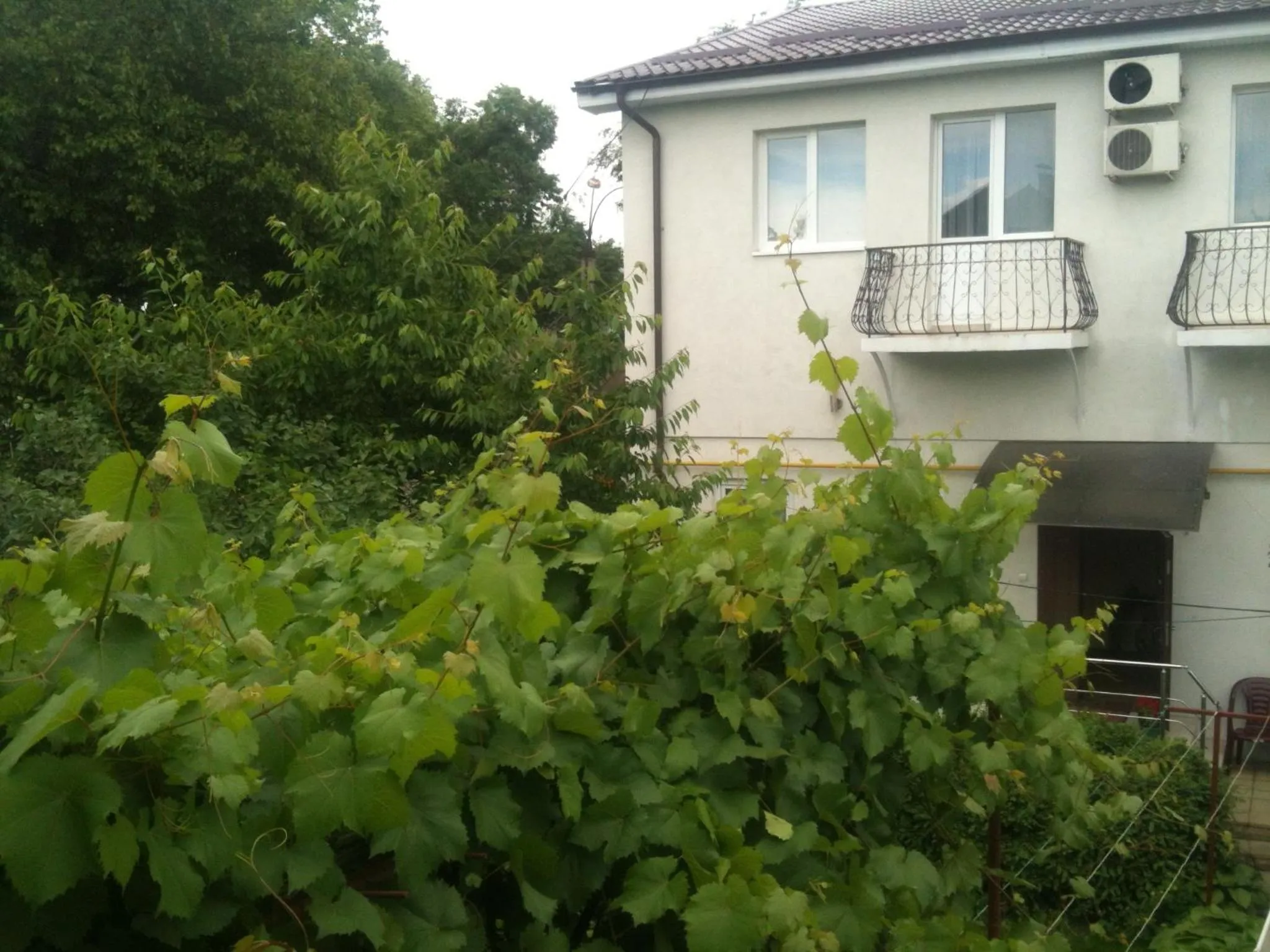 Facade/entrance in Hotel Lidia