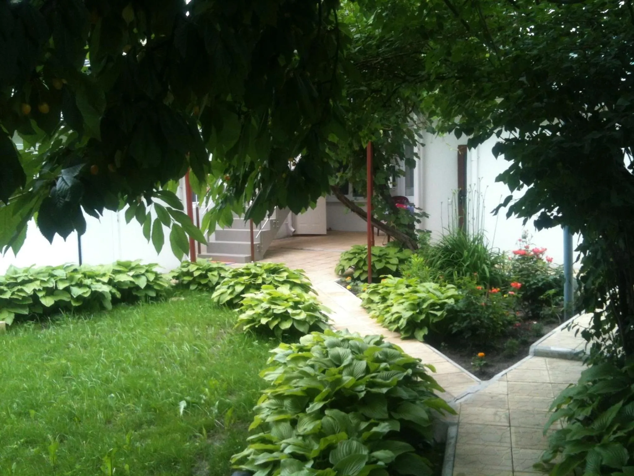 Garden in Hotel Lidia