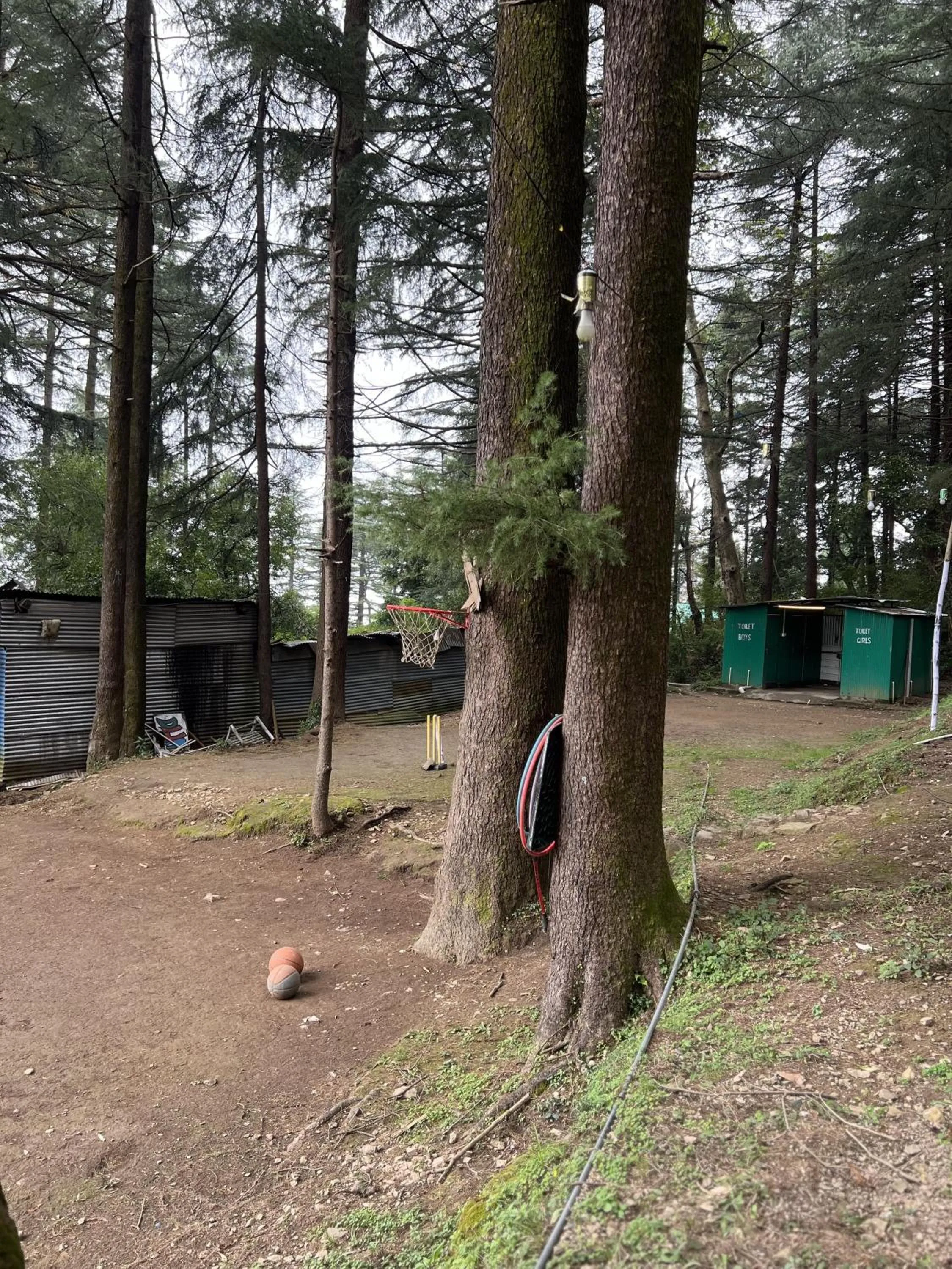 Day in Himtrek Stays,Mcleodganj