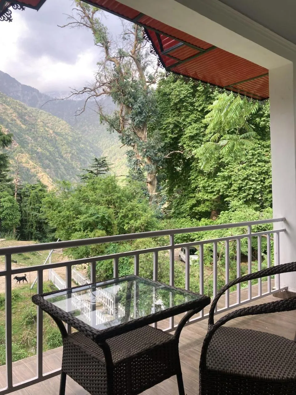 Balcony/Terrace in Himtrek Stays,Mcleodganj