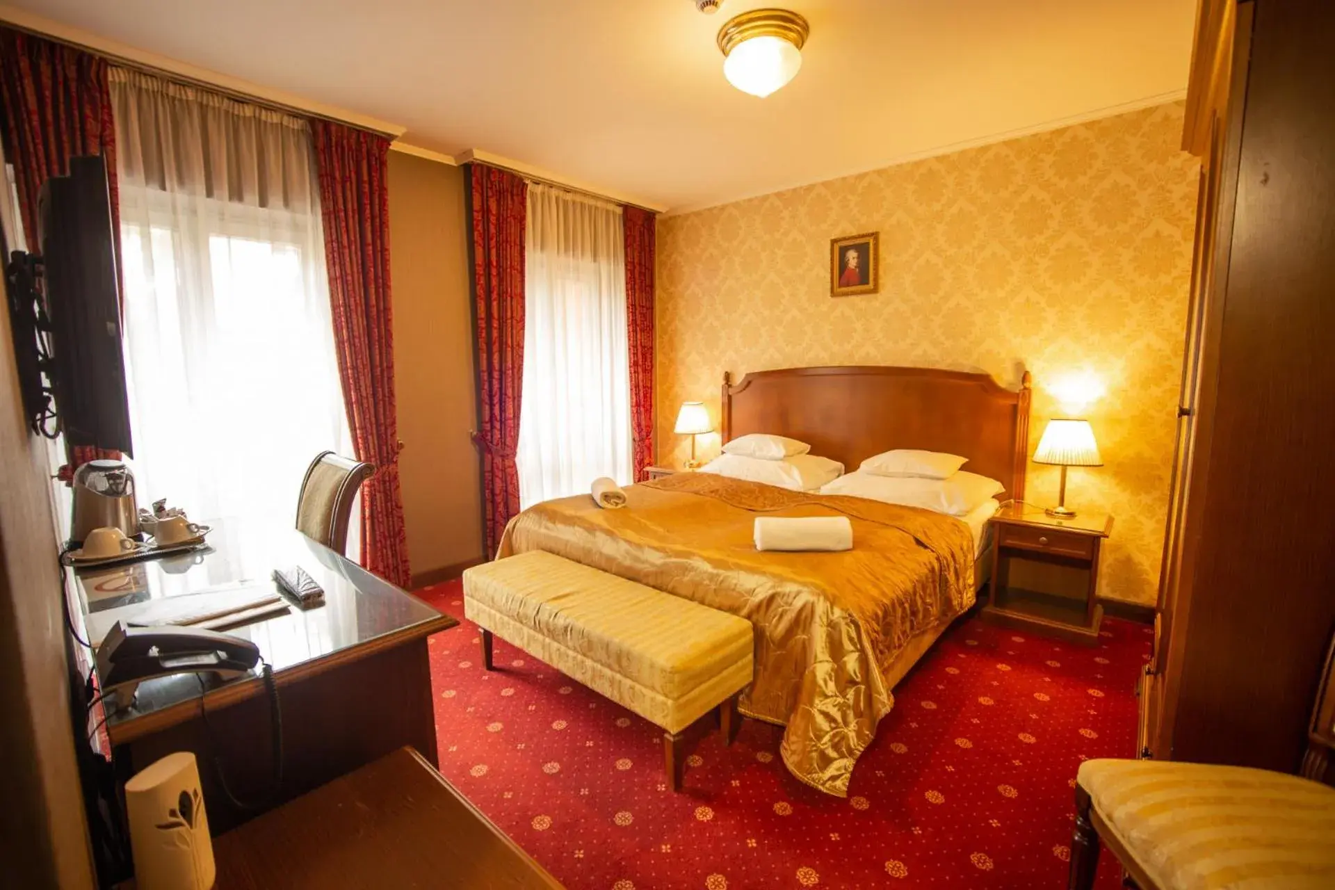 Double Room - single occupancy in Mozart Hotel Double Room - single occupancy in Mozart Hotel
