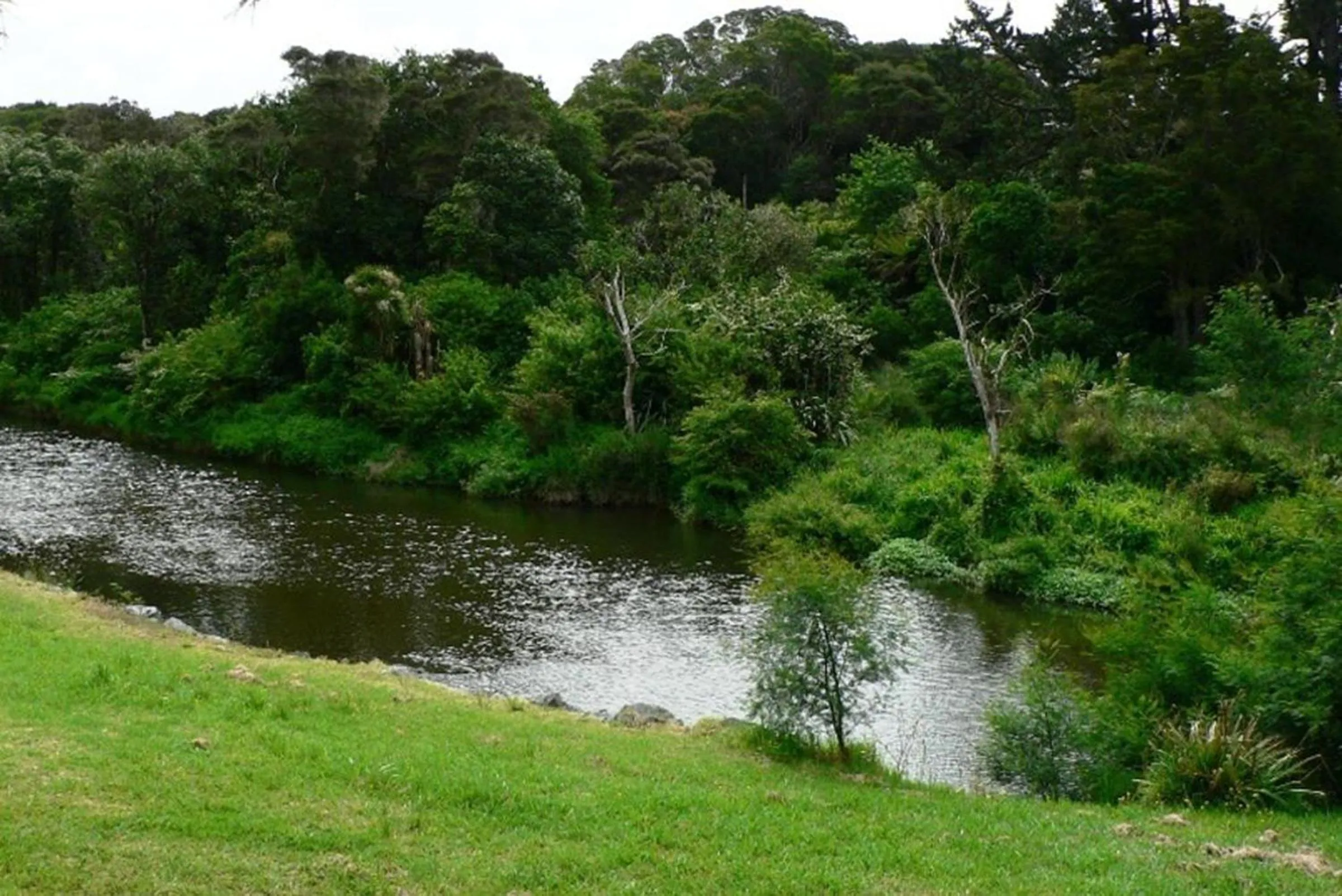 River view in Riverside Lodge Paihia