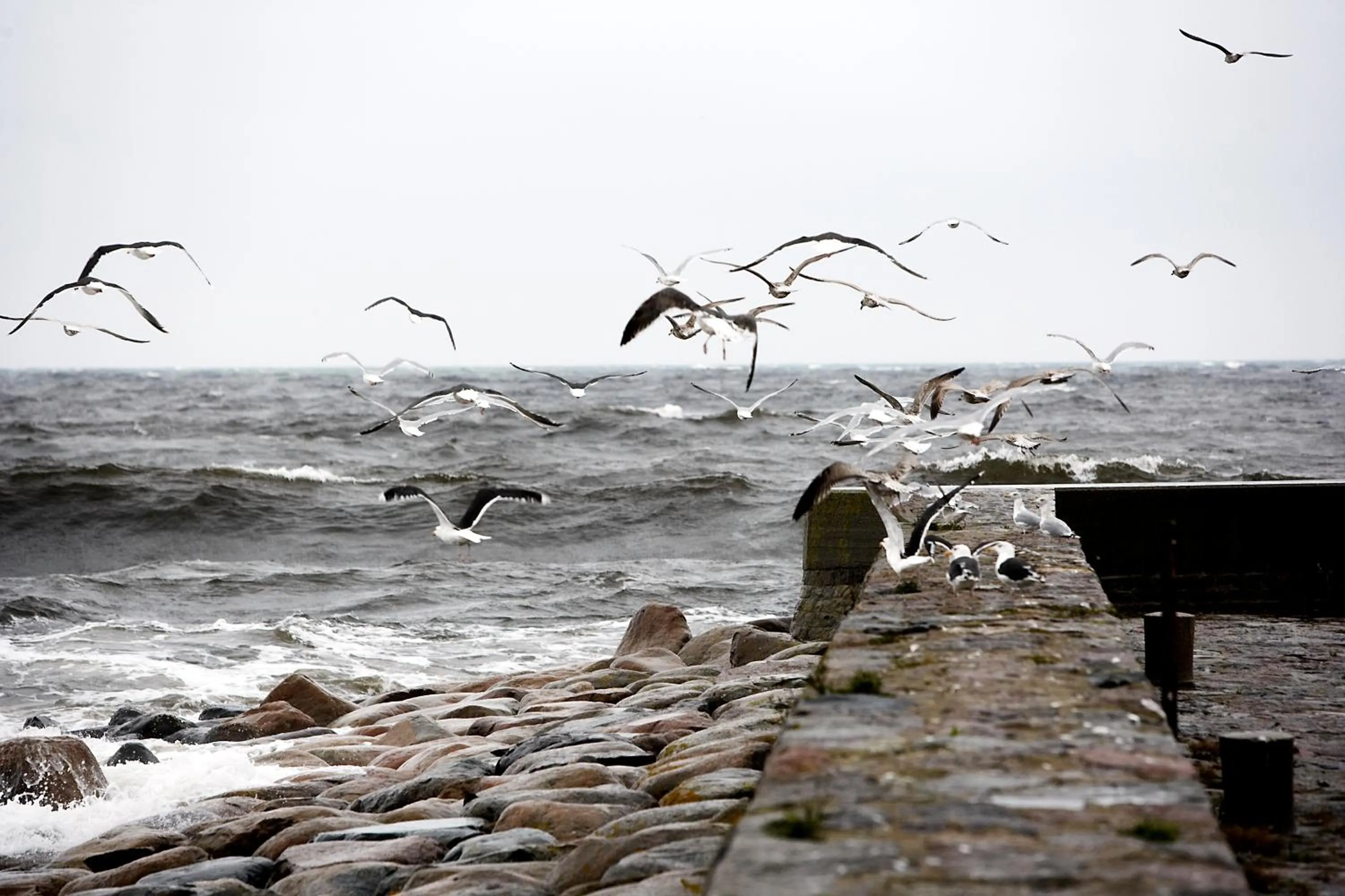 Sea view in Kivikstrand Badhotell