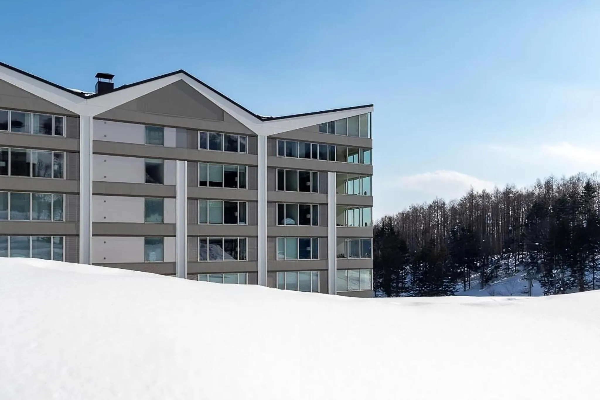 Property building in The Maples Niseko