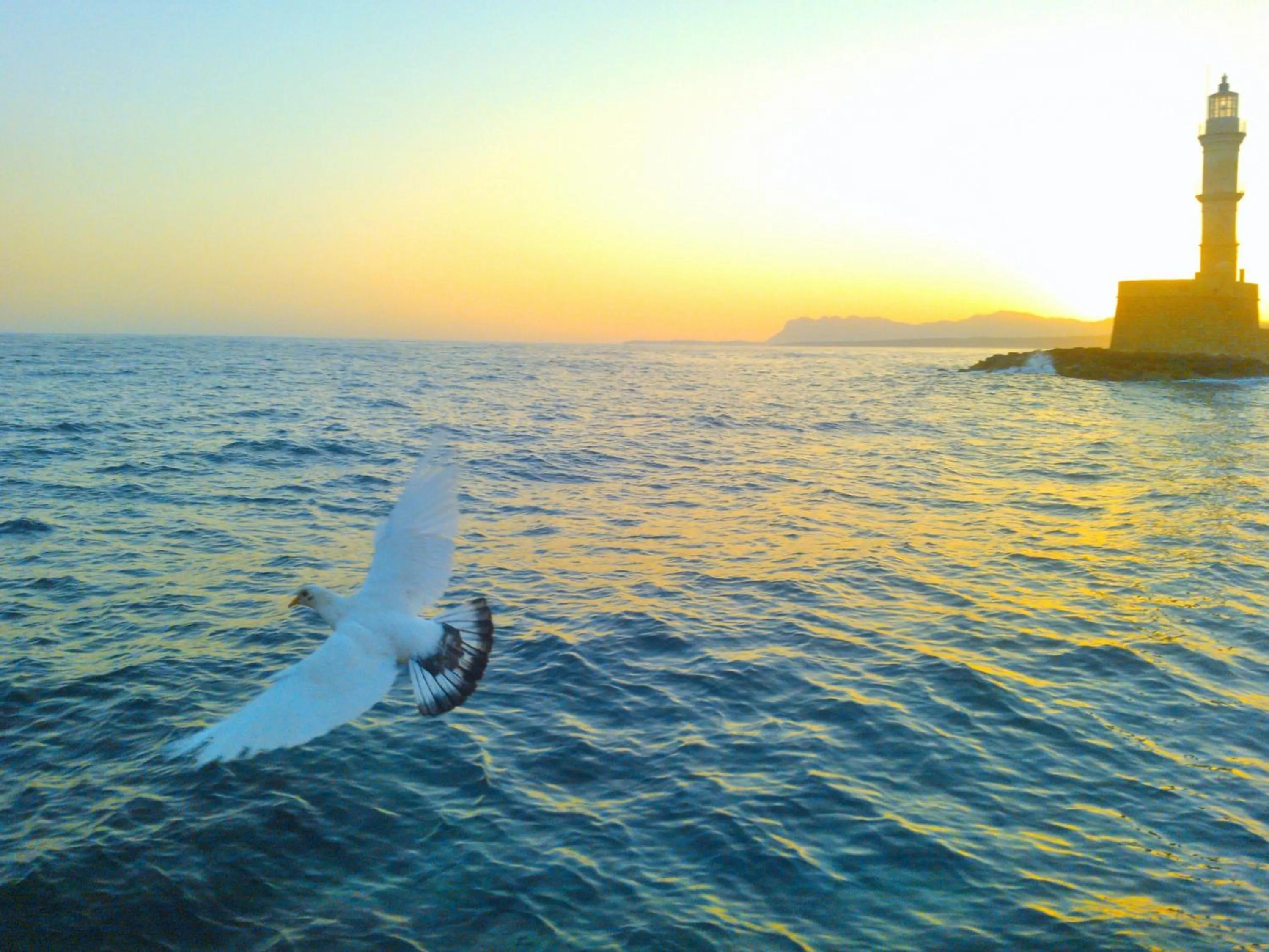 Area and facilities in Hotel Amphora