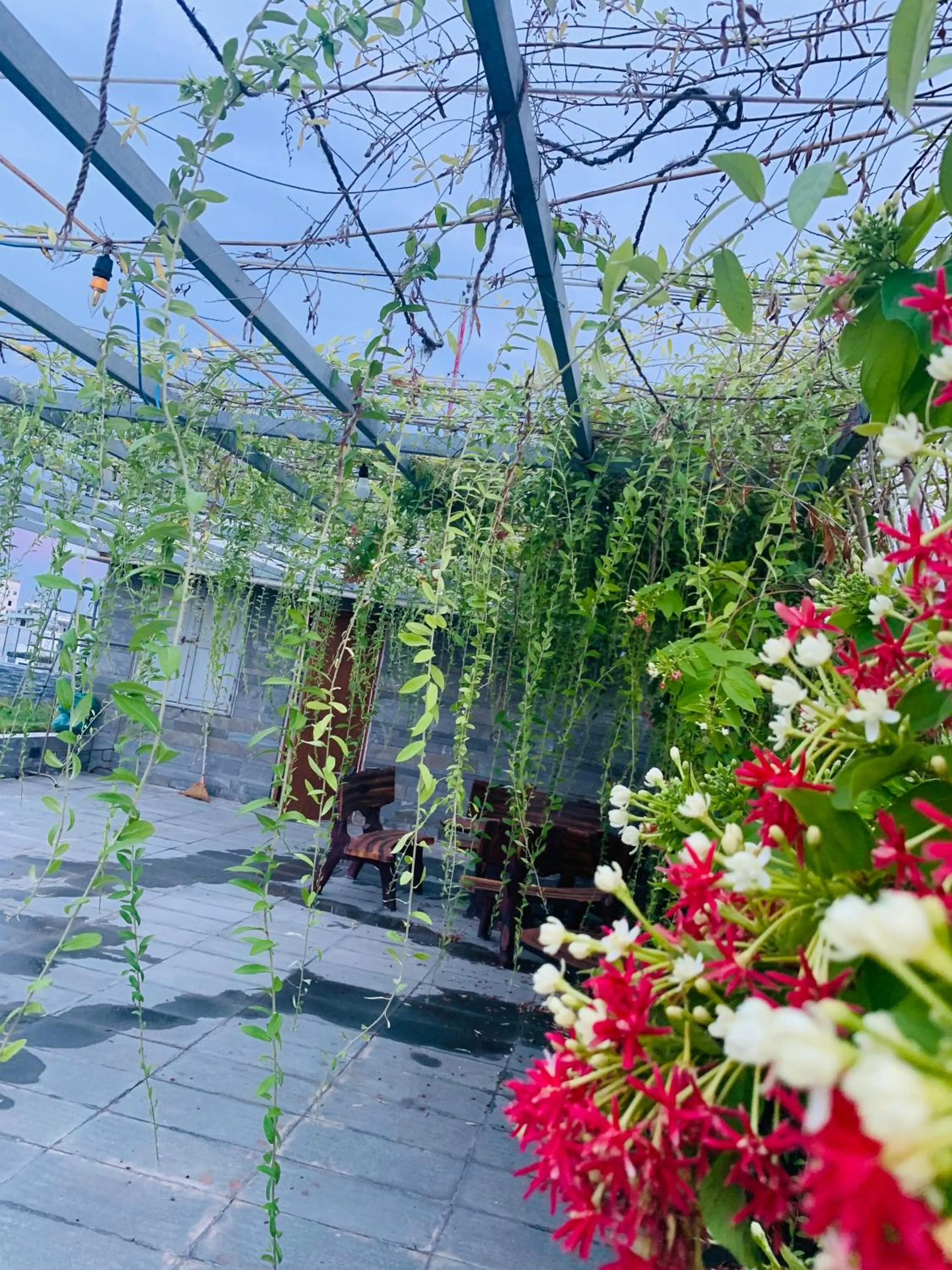 Natural landscape in Animor Green Home Villa Da Nang