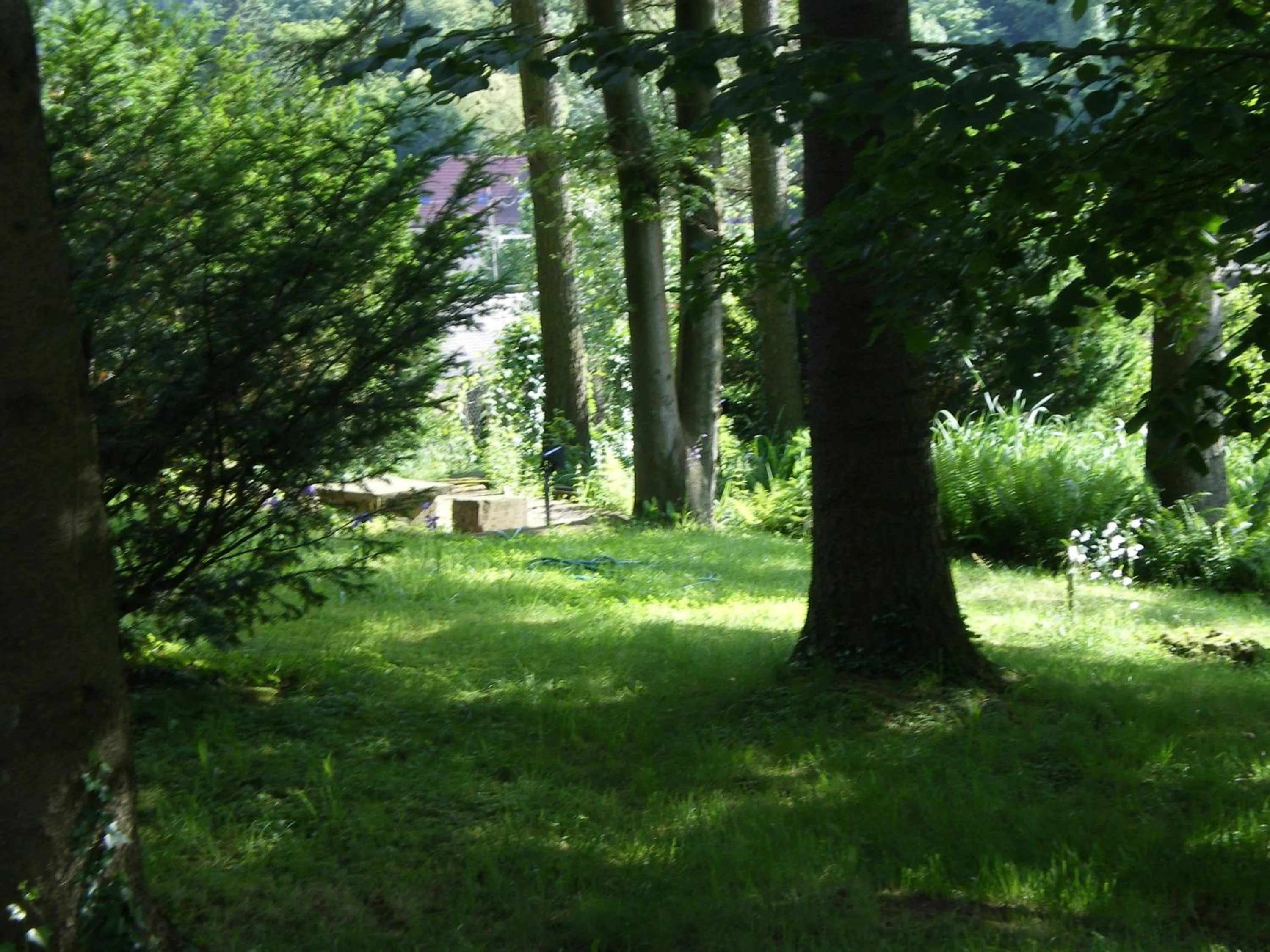 Garden in Hôtel des Vosges