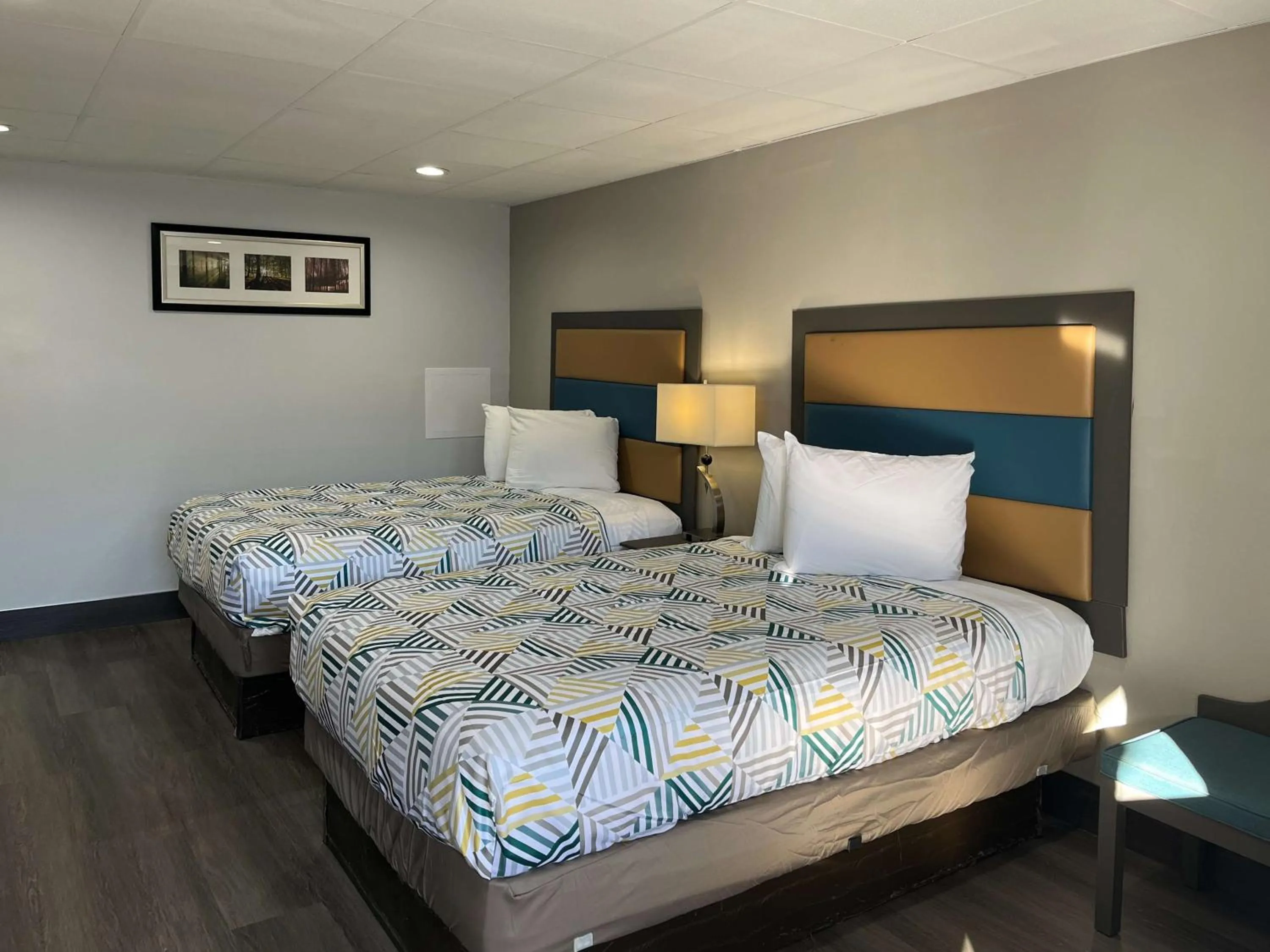 Bedroom, Bed in Motel 6 Greenville, NC ECU Medical Center