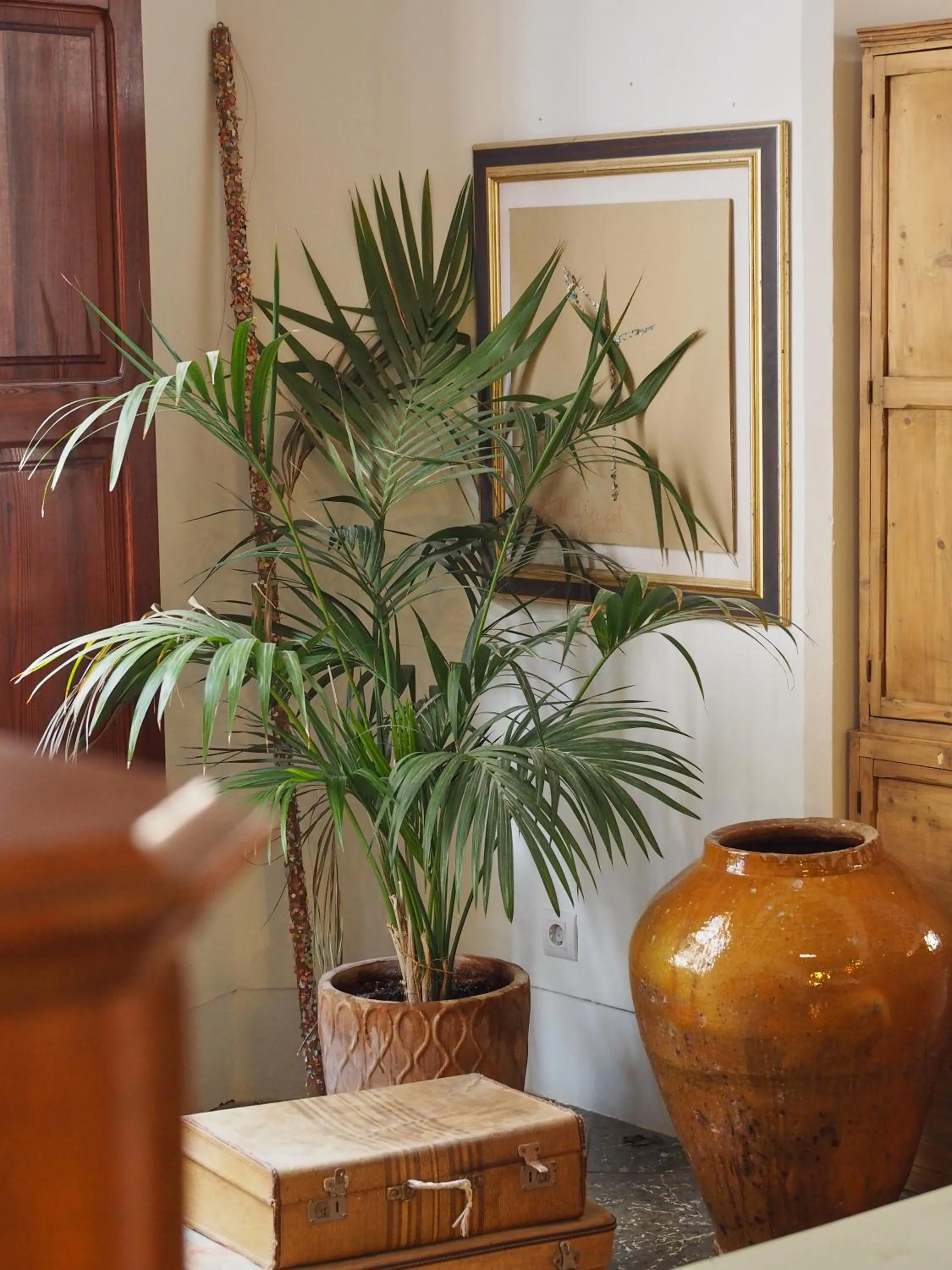 Property building in Hotel Forn Nou