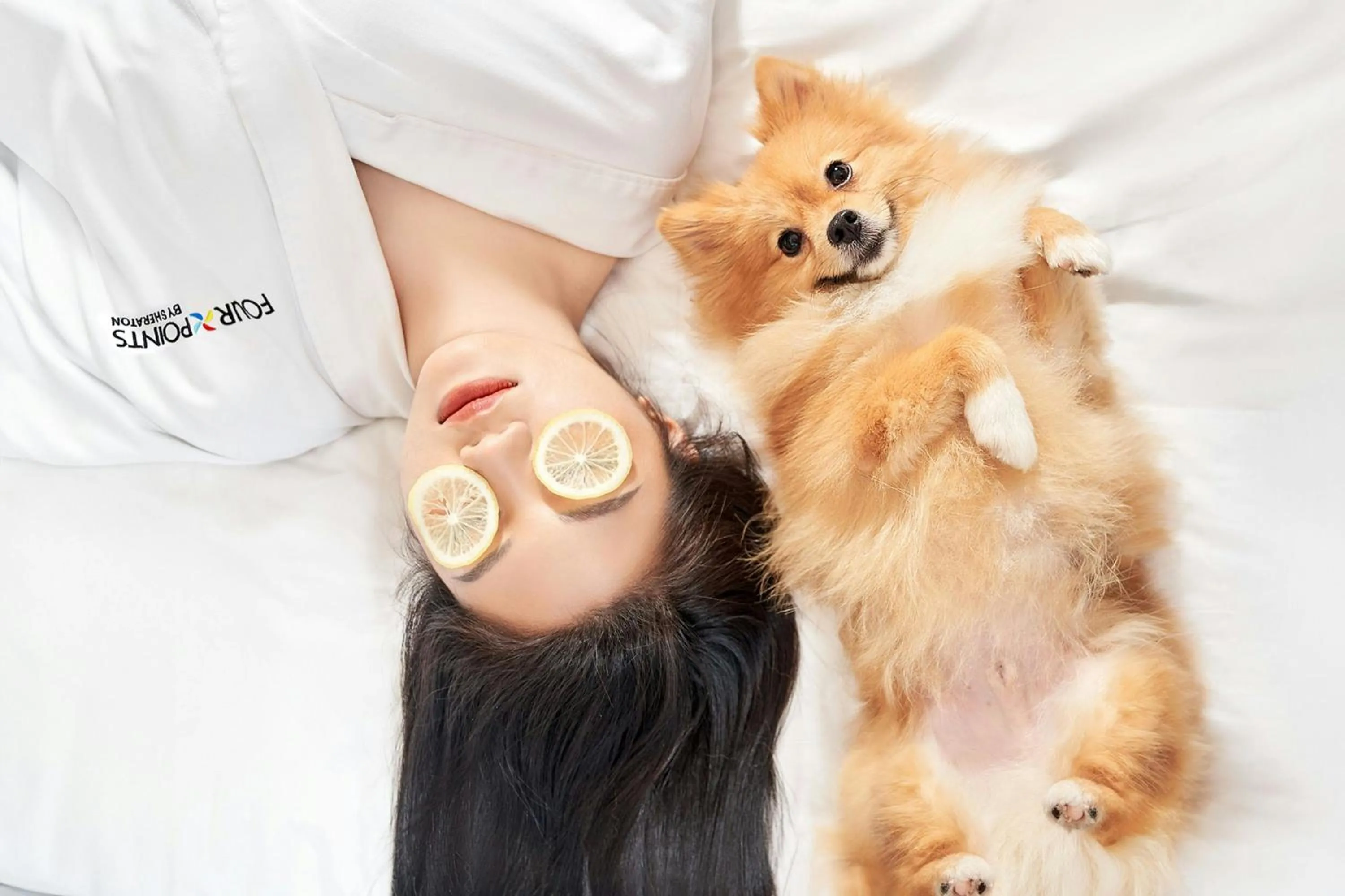 Other in Four Points by Sheraton Danang