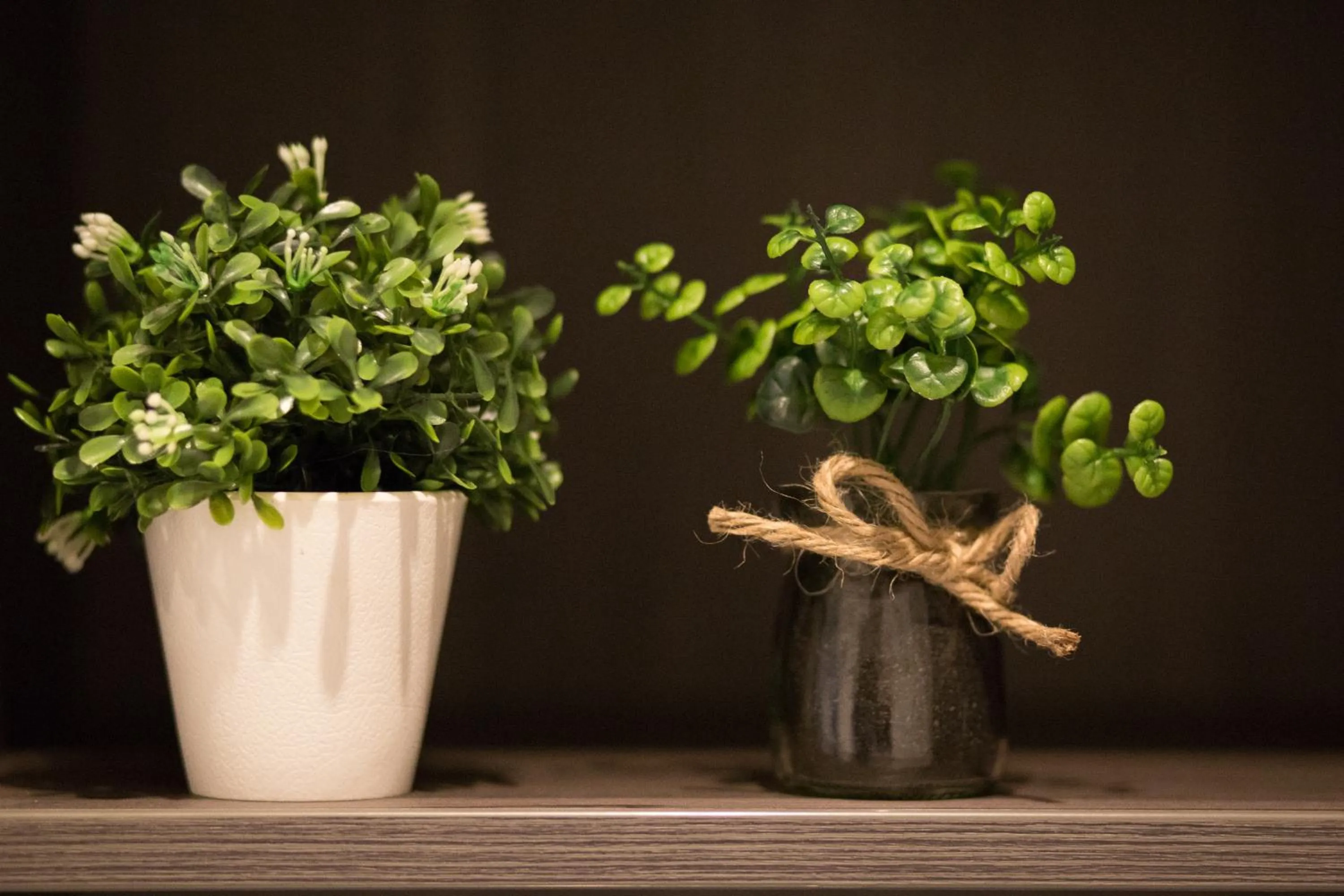 Area and facilities in Classy Design Accommodation