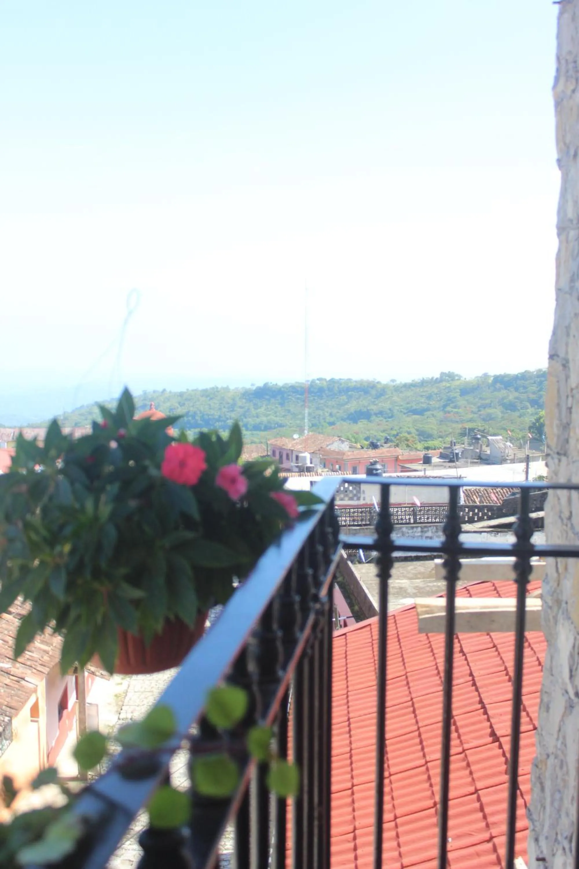 Hotel Boutique La Casona de Don Porfirio