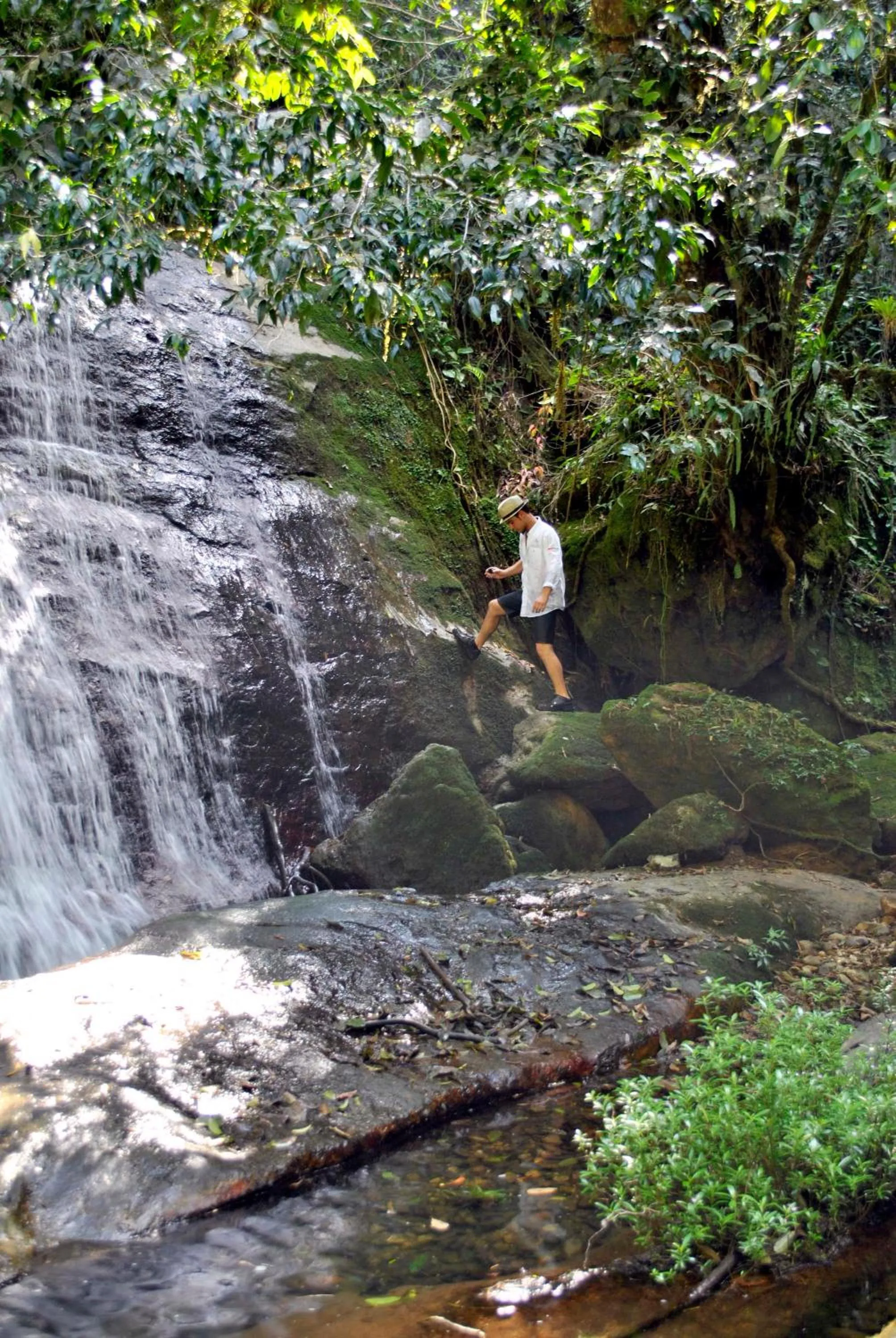 Hotel Boutique La Casona de Don Porfirio