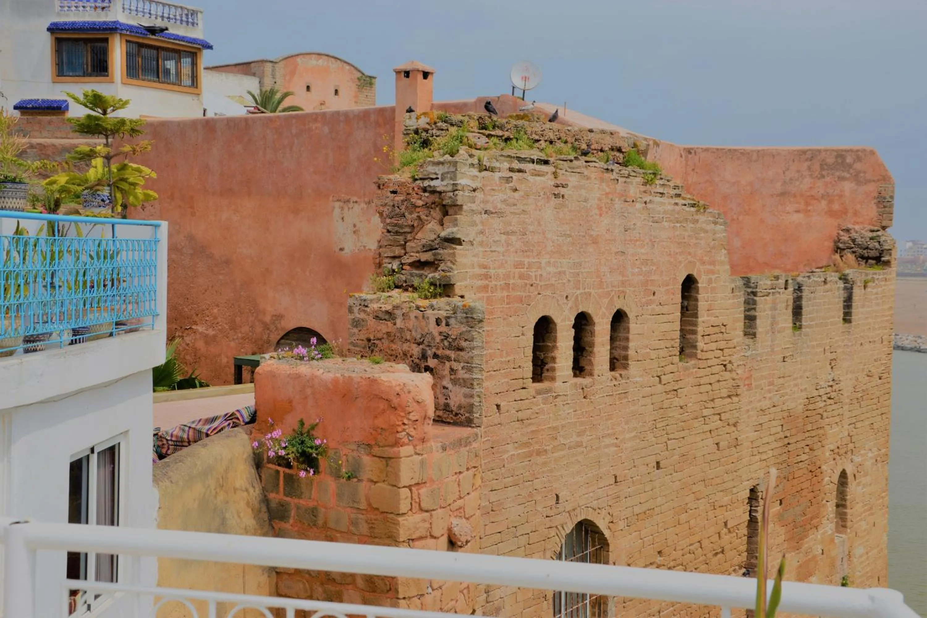 View (from property/room) in Dar Korsan